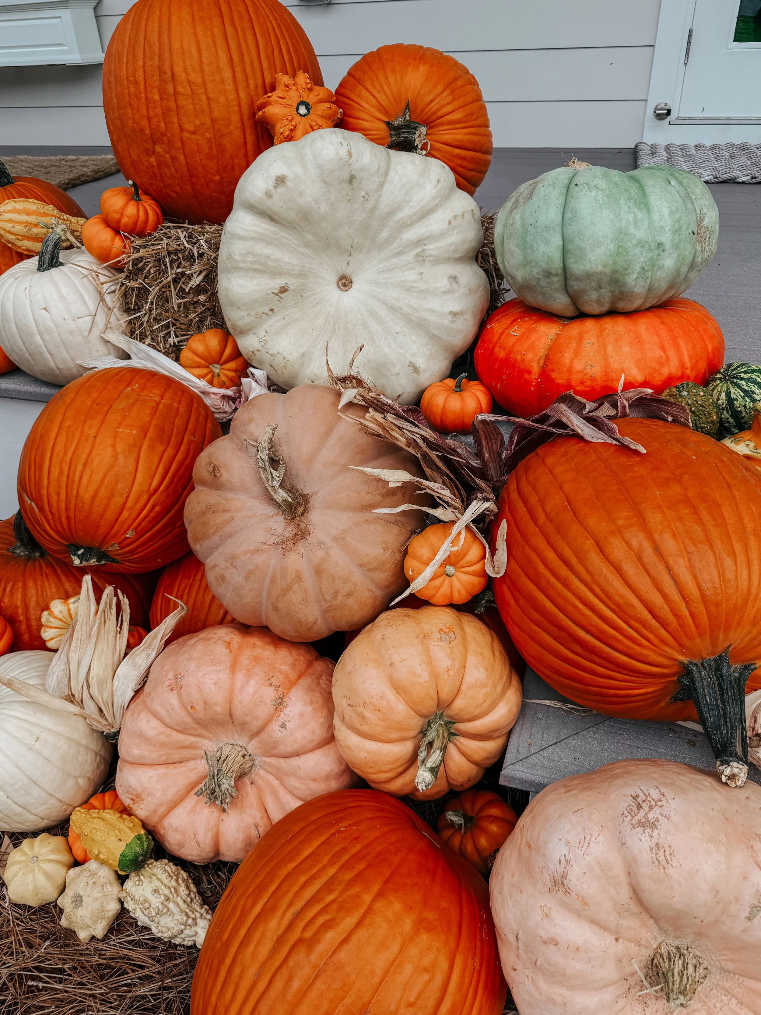 HPC Porch Pumpkins 2026 Season-50.jpg