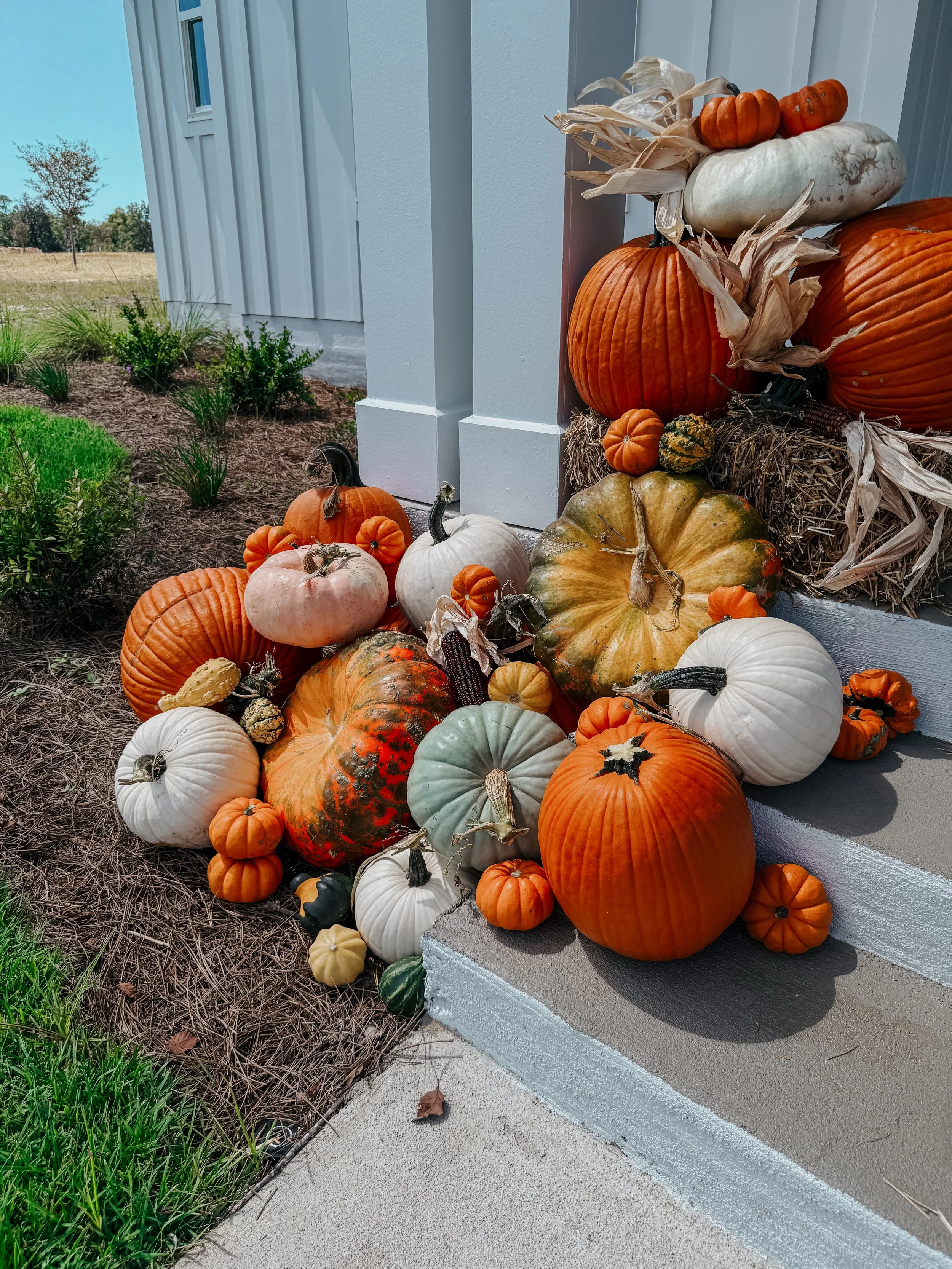 HPC Porch Pumpkins 2026 Season-06.jpg