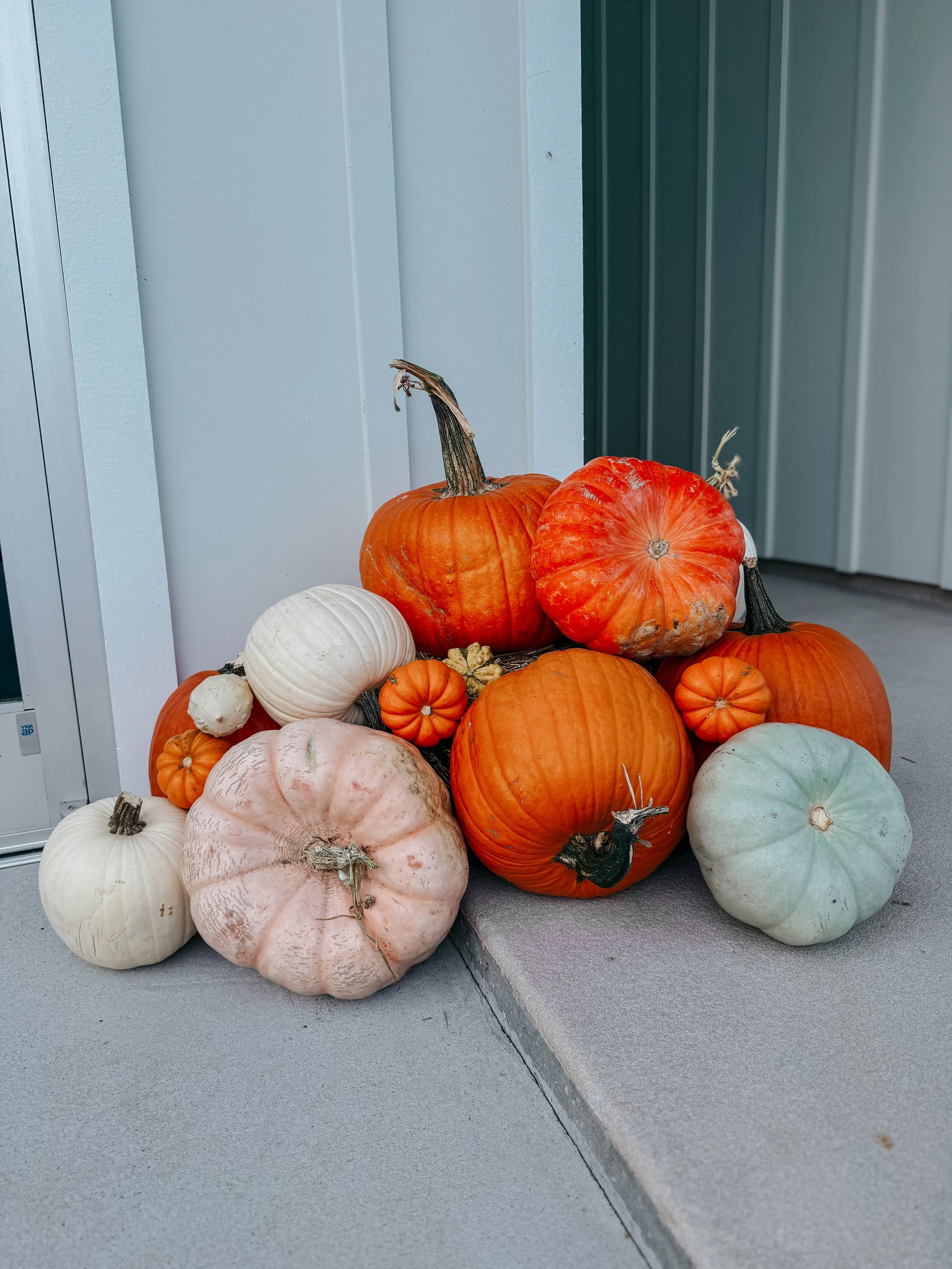 HPC Porch Pumpkins 2026 Season-70.jpg