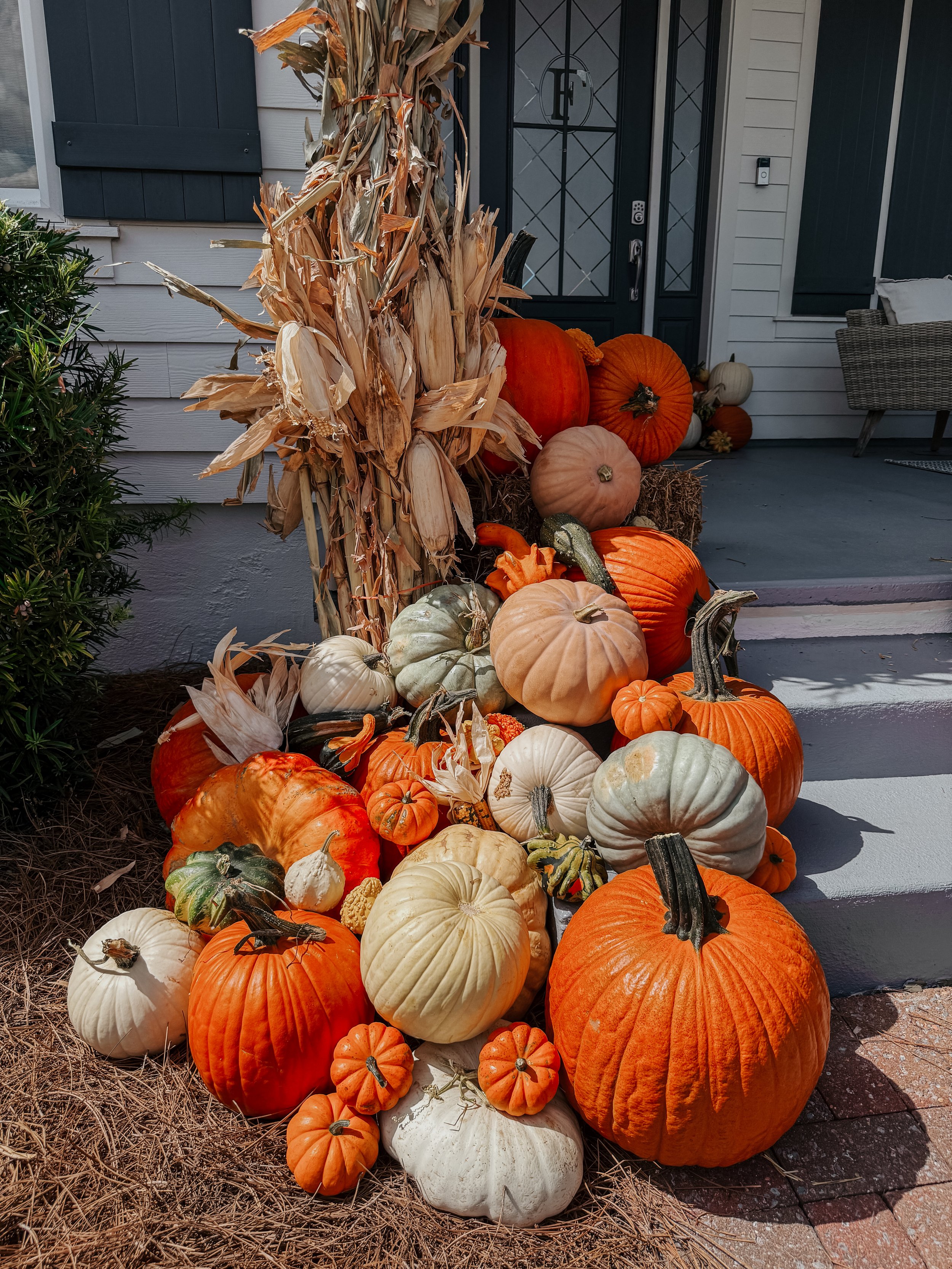 HPC Porch Pumpkins 2026 Season-02.jpg