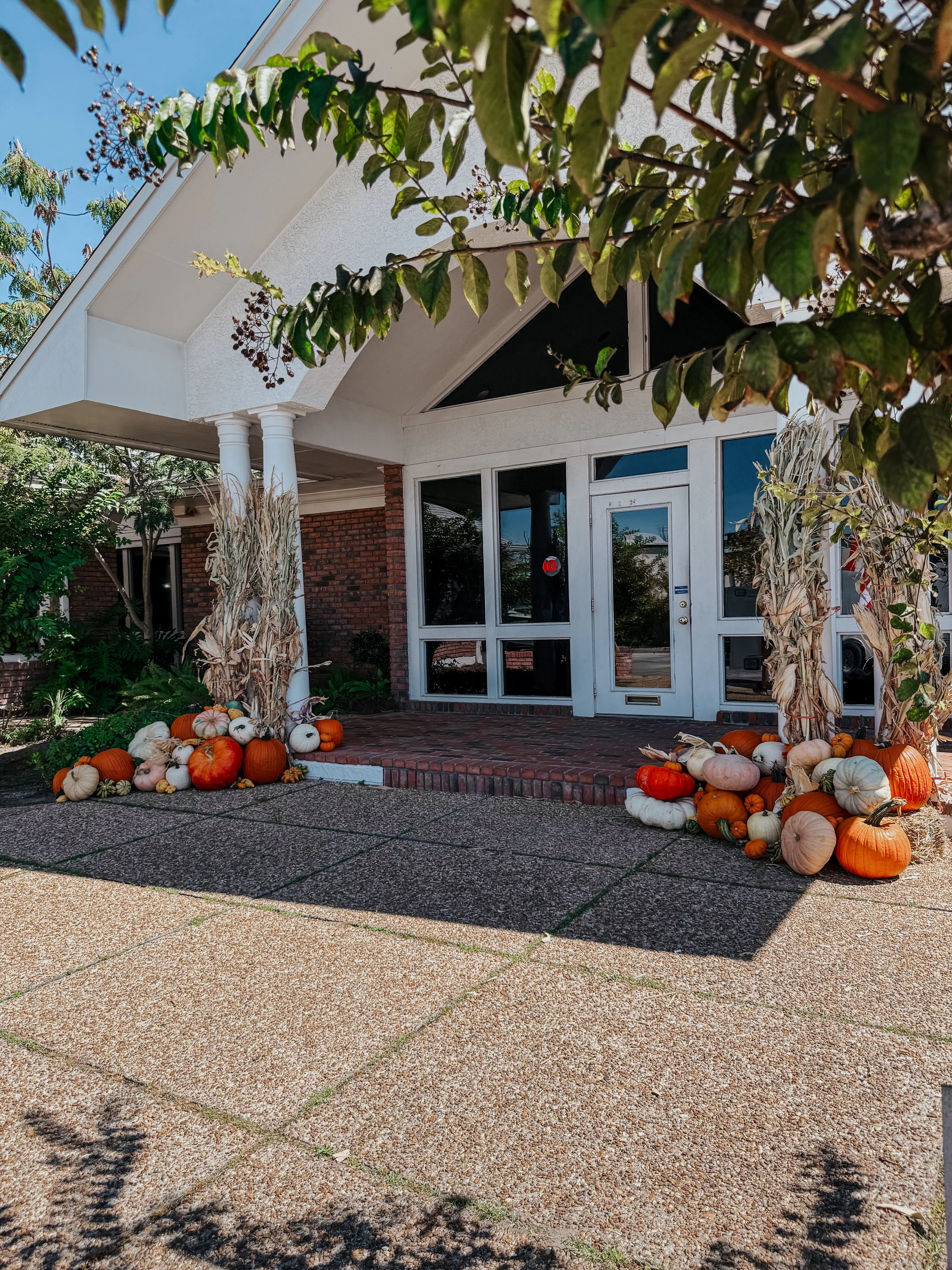 HPC Porch Pumpkins 2026 Season-24.jpg