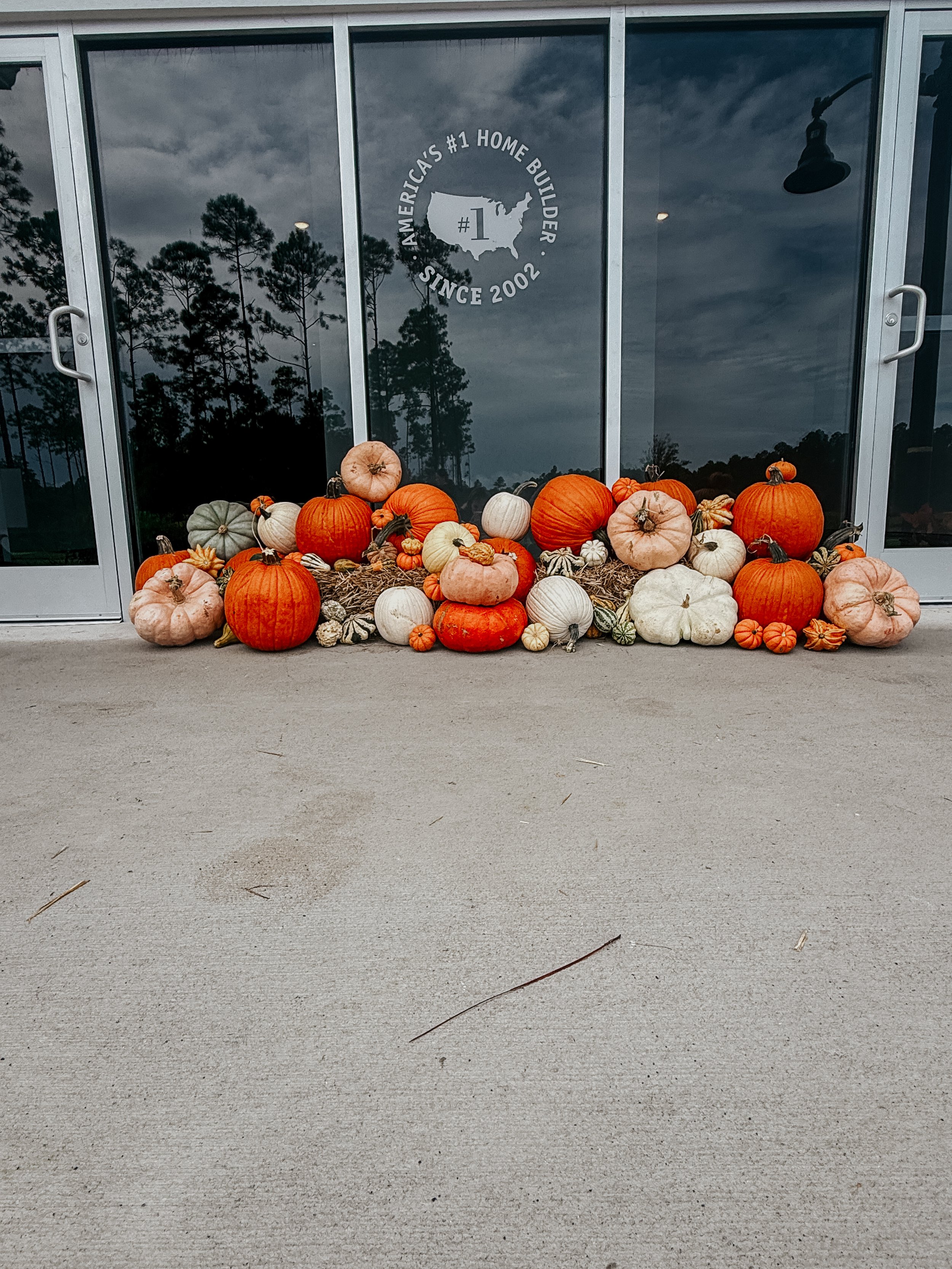 HPC Porch Pumpkins 2026 Season-41.jpg