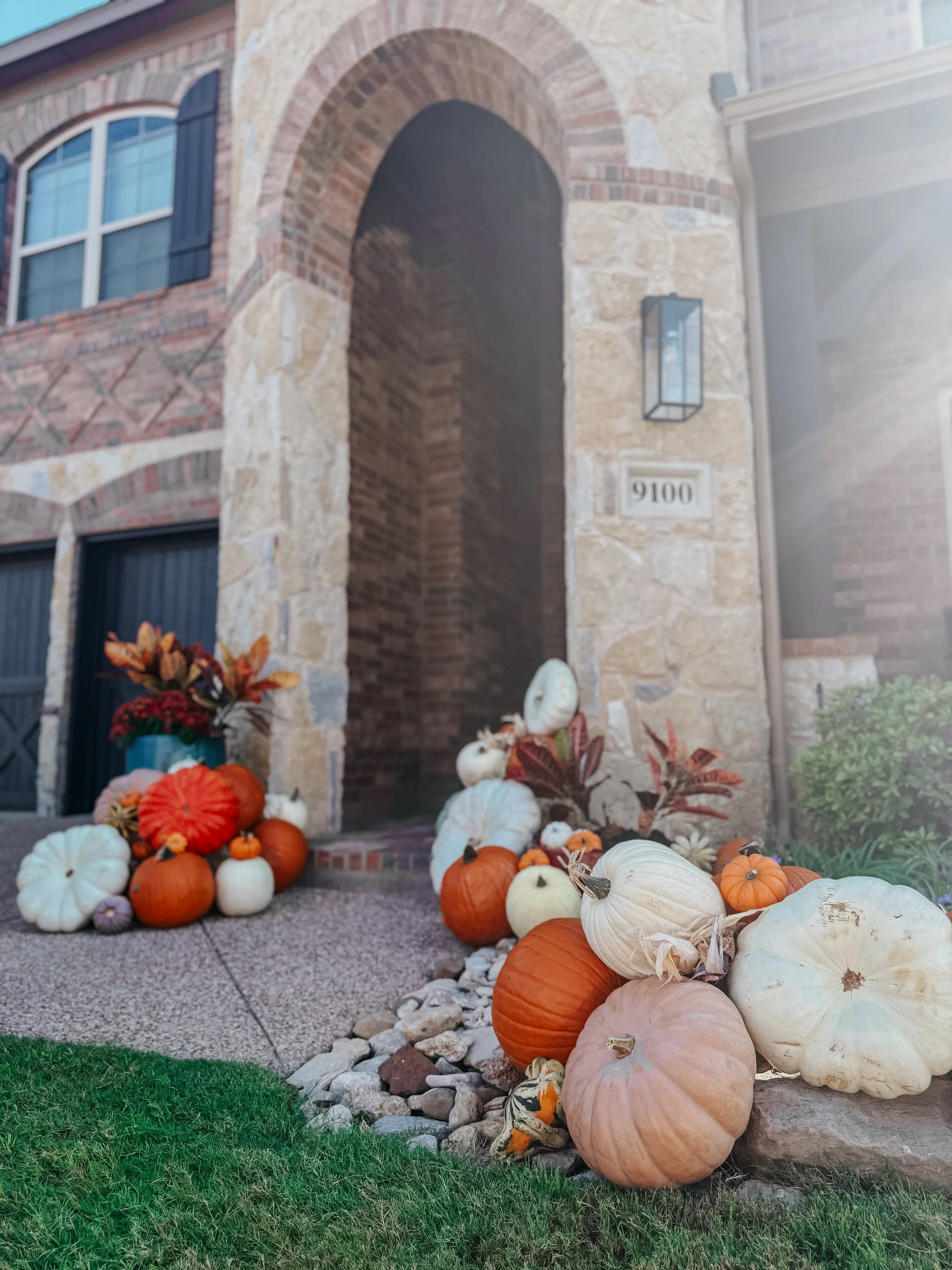 HPC Porch Pumpkins 2026 Season-97.jpg