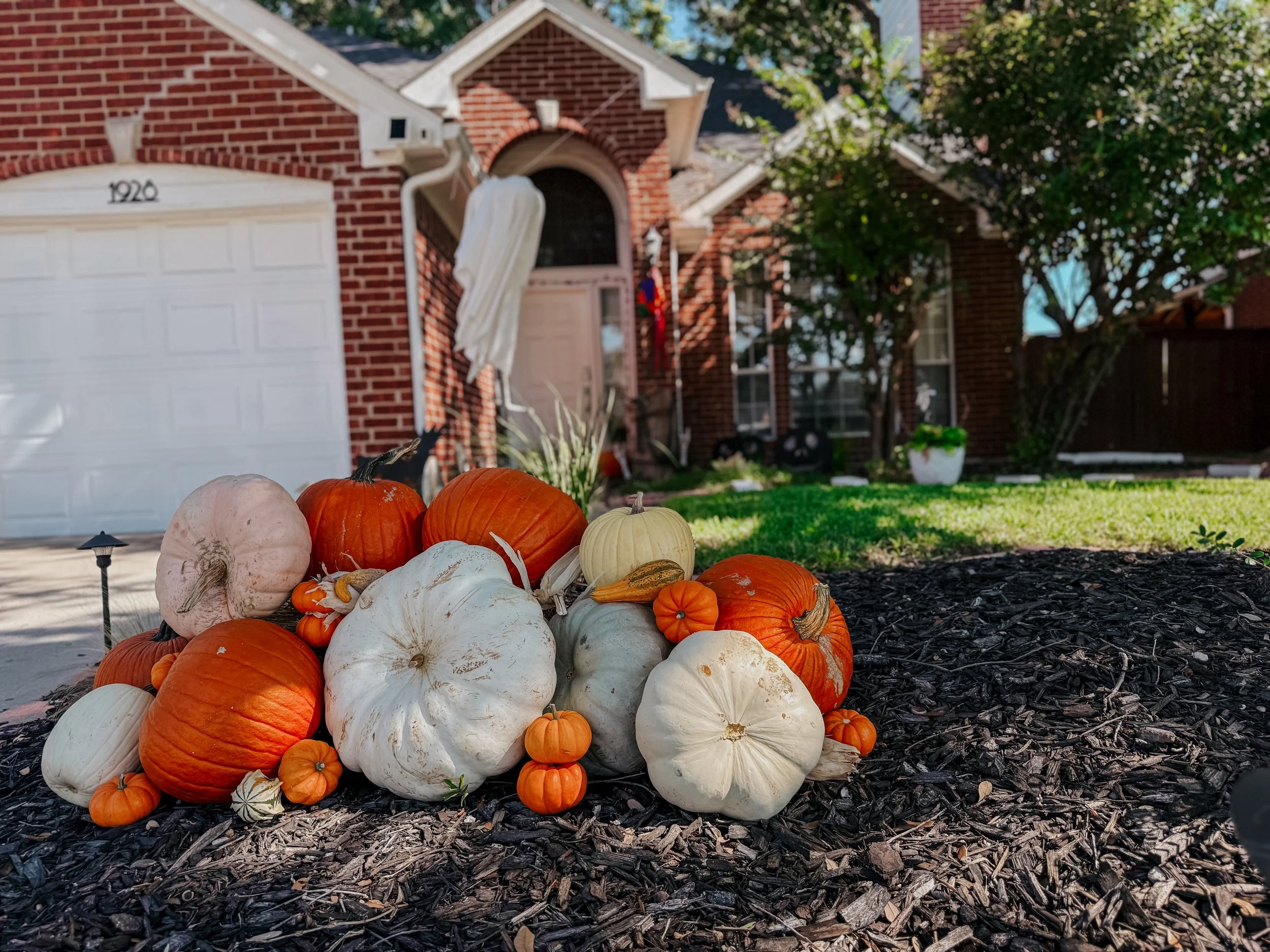 HPC Porch Pumpkins 2026 Season-99.jpg