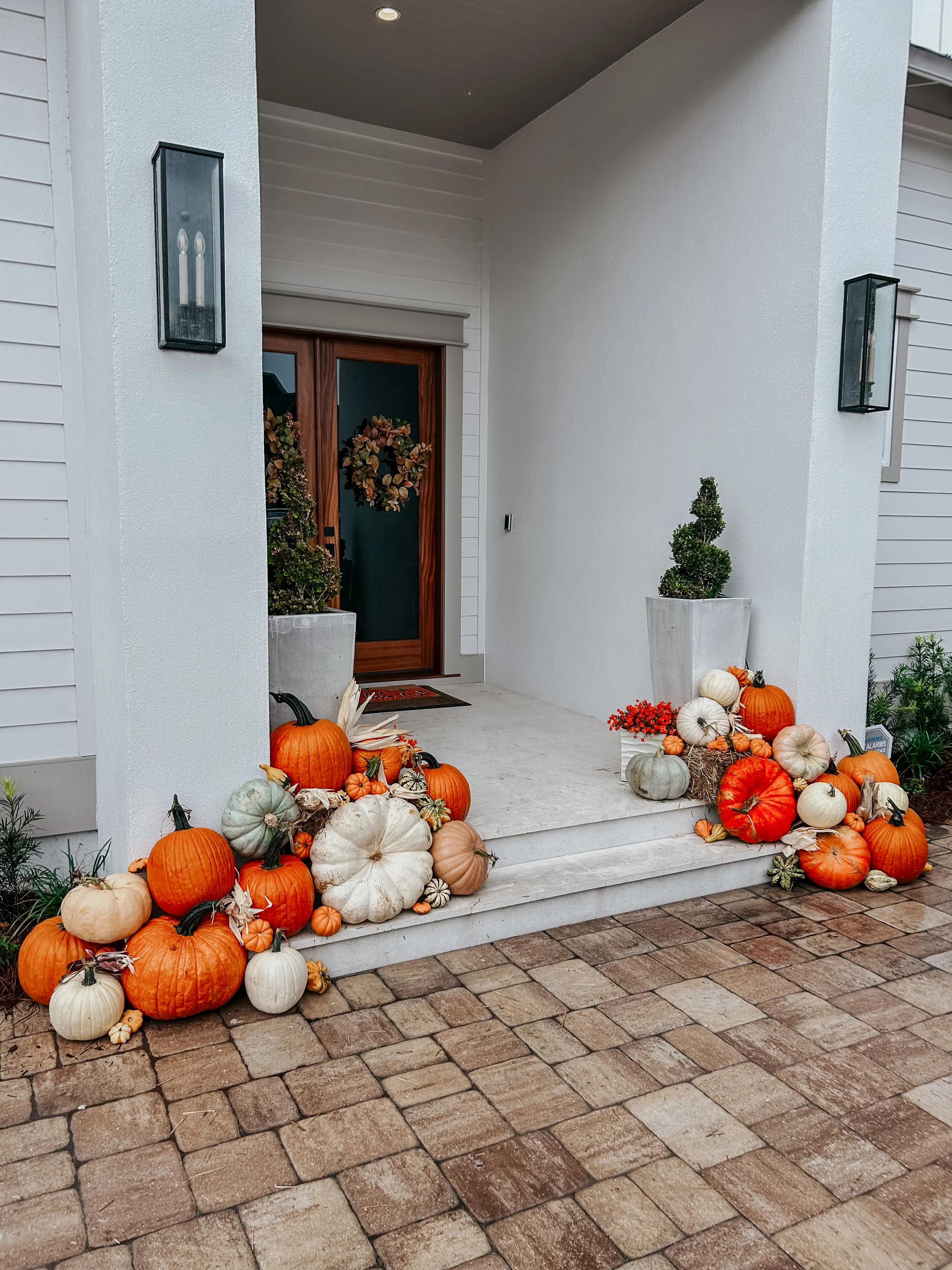 HPC Porch Pumpkins 2026 Season-39.jpg