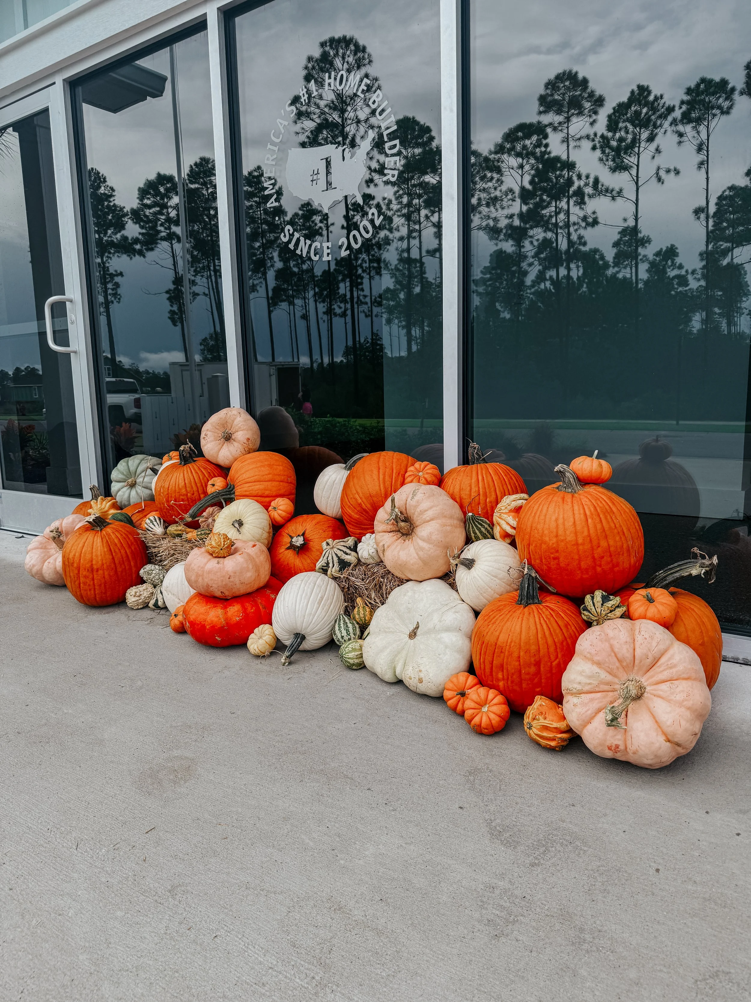 HPC Porch Pumpkins 2026 Season-43.jpg
