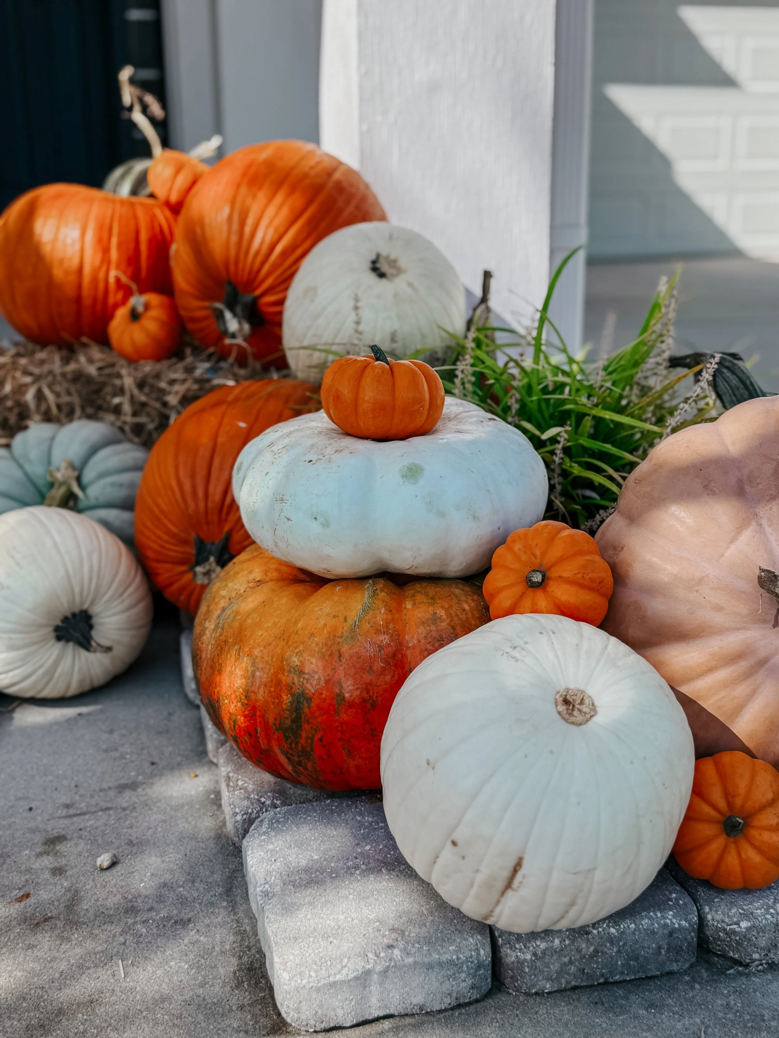 HPC Porch Pumpkins 2026 Season-23.jpg