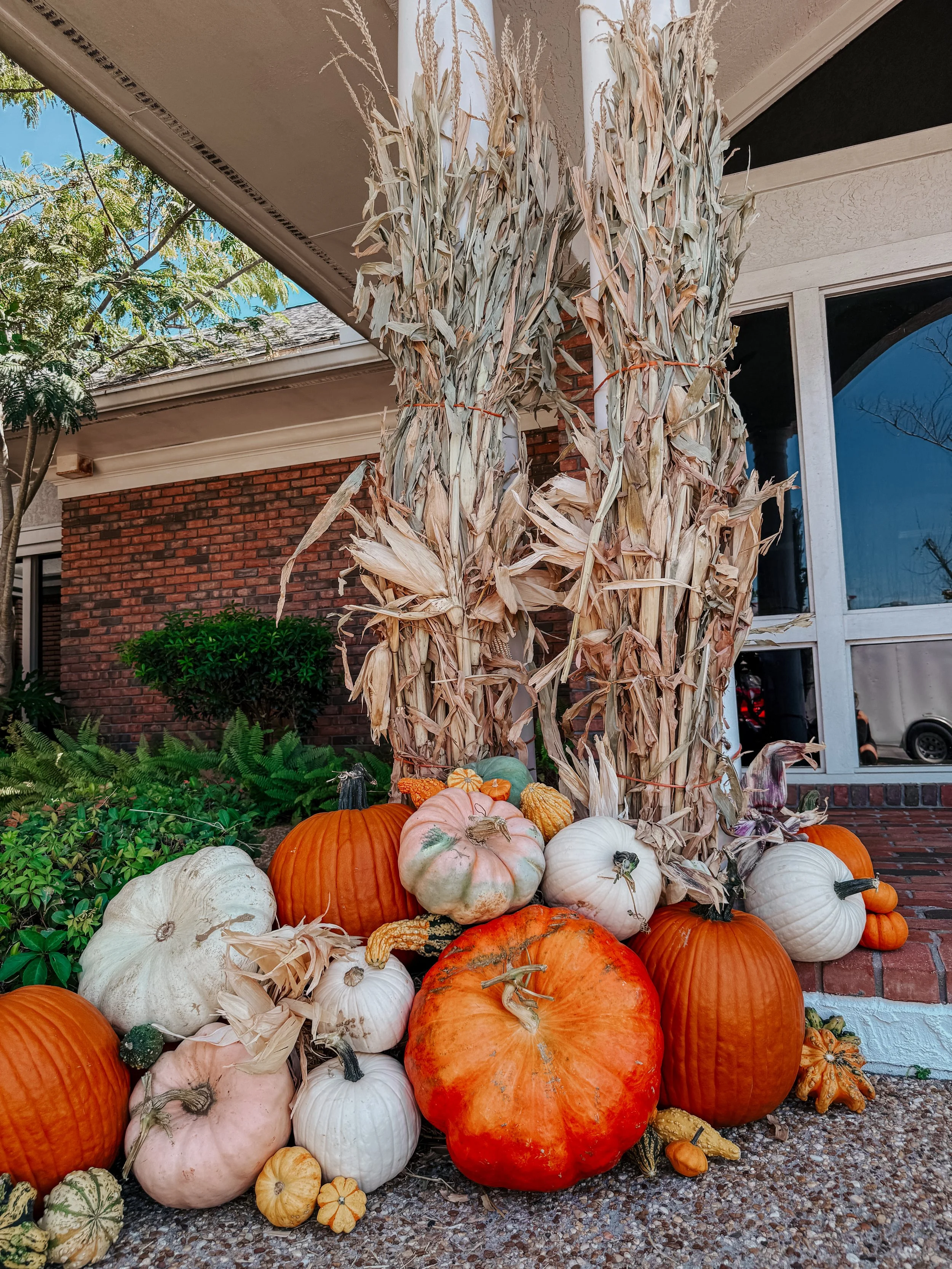 HPC Porch Pumpkins 2026 Season-27.jpg