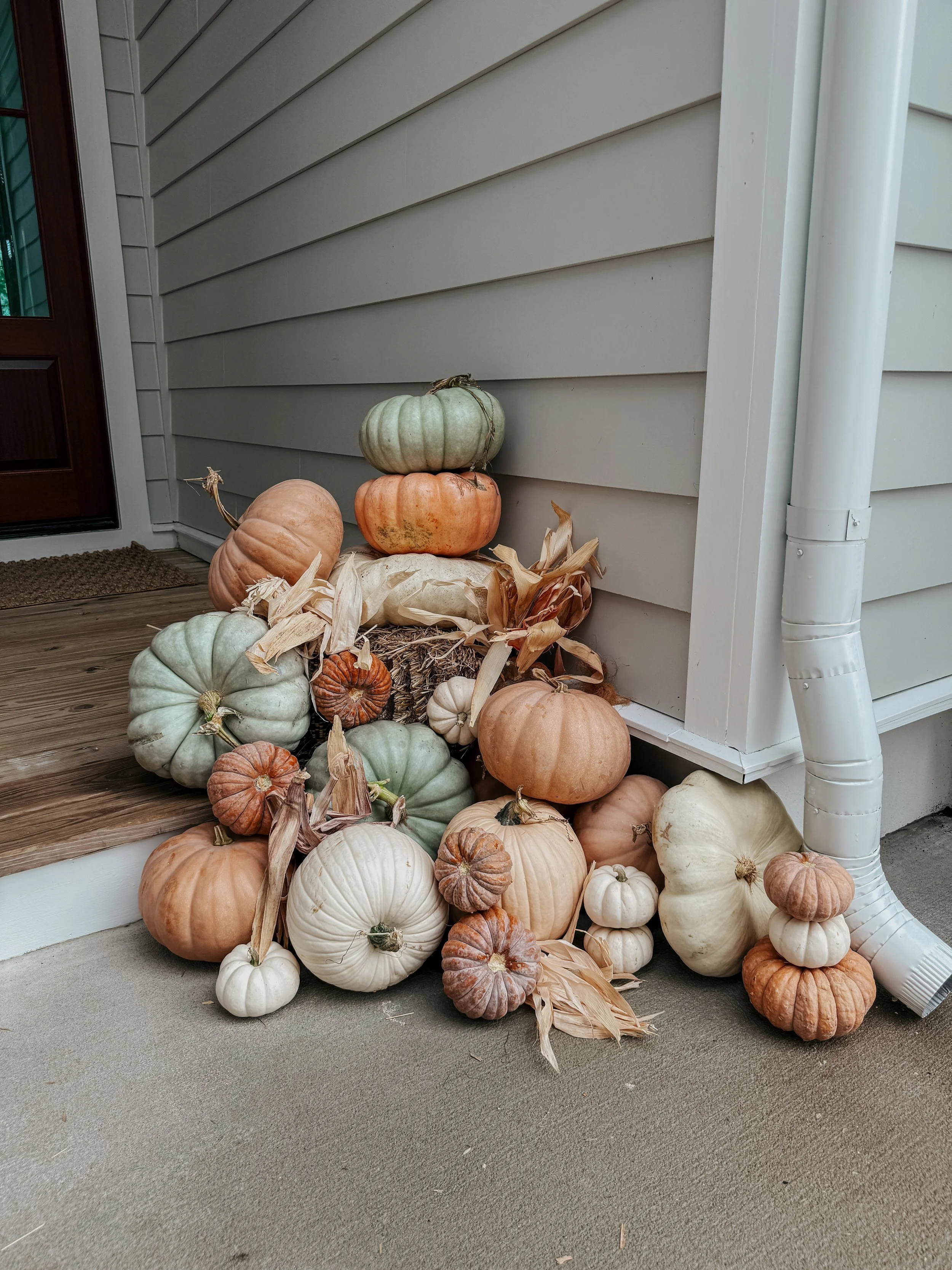 HPC Porch Pumpkins 2026 Season-46.jpg