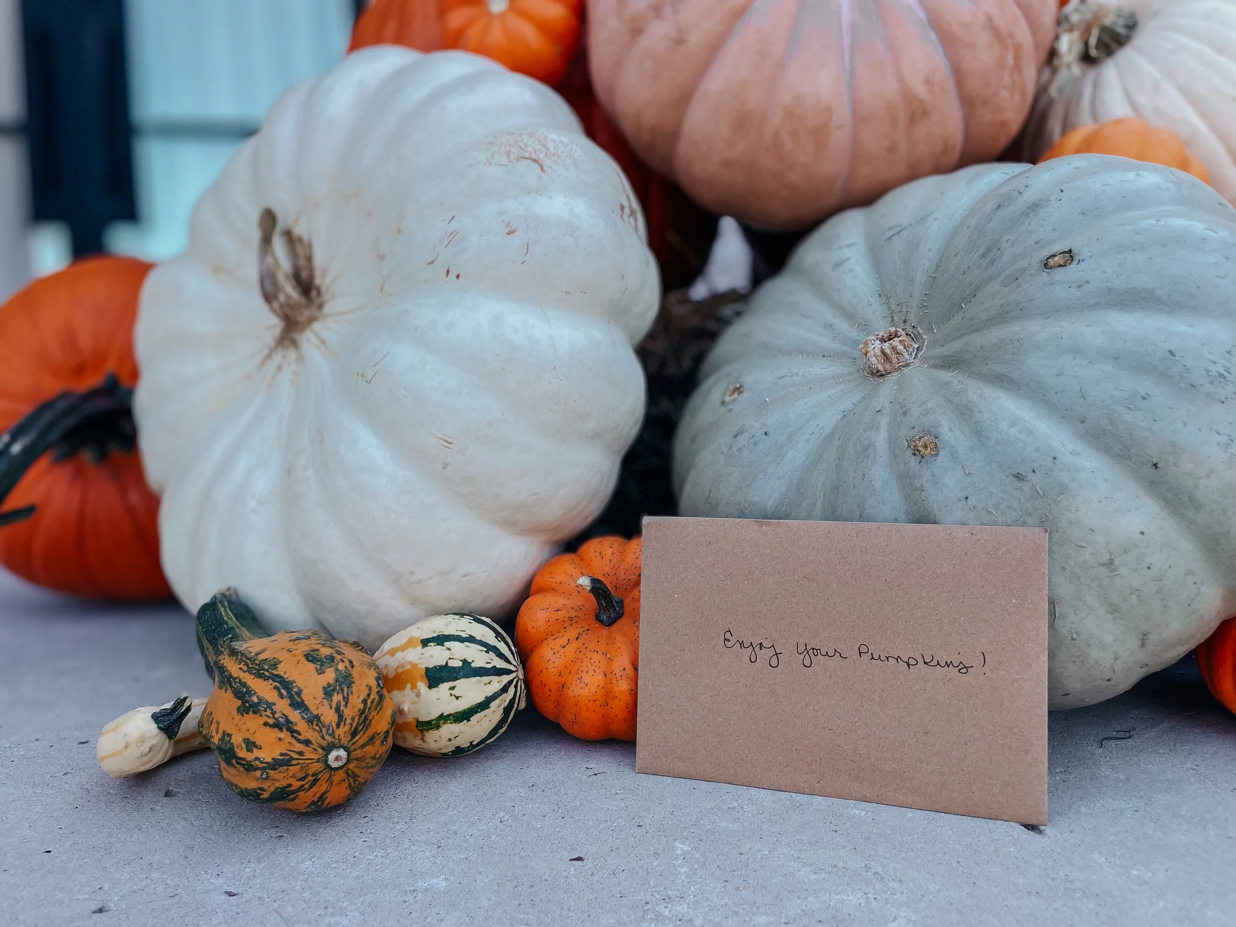 HPC Porch Pumpkins Dallas-1.jpg