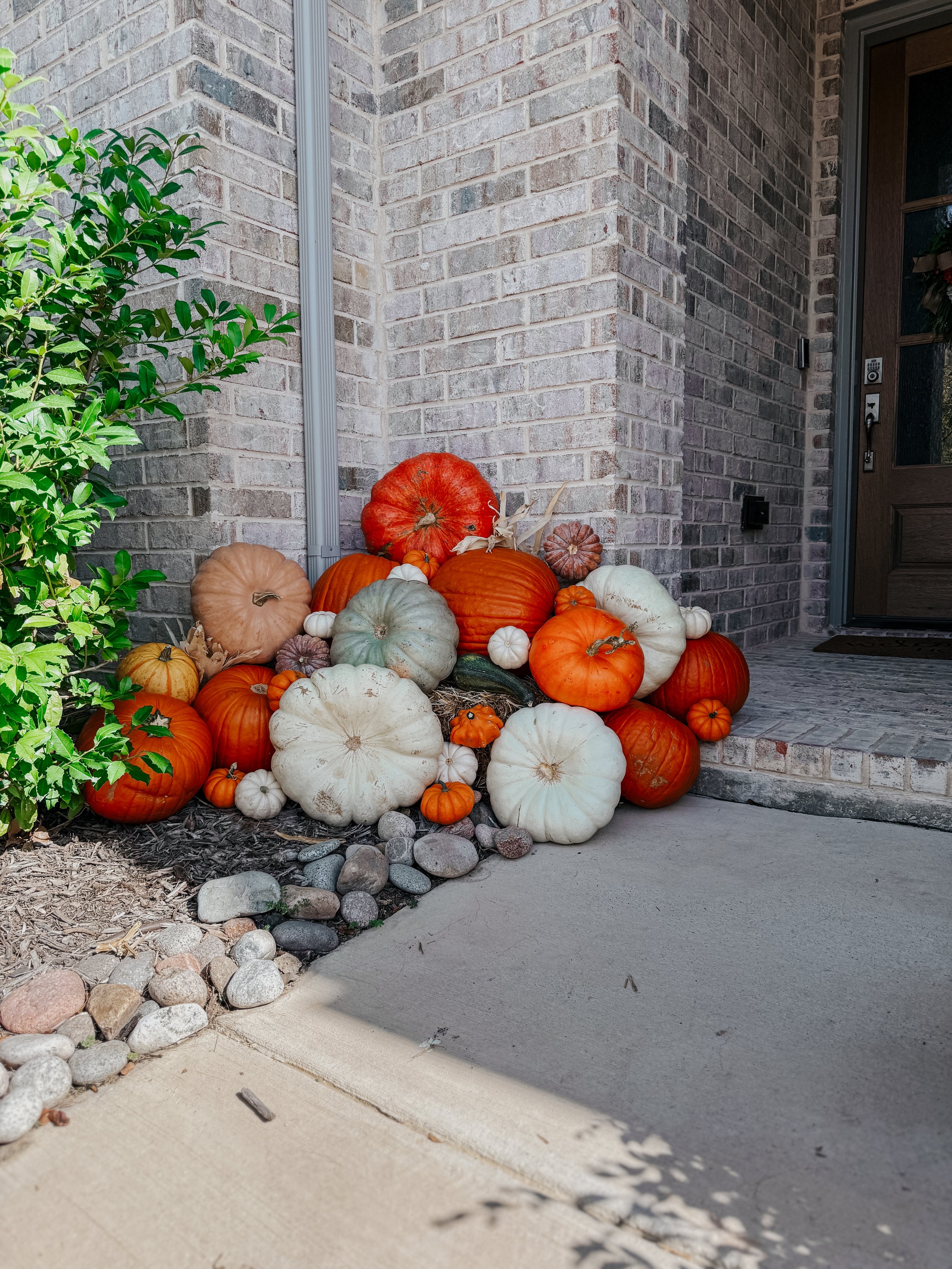 HPC Porch Pumpkins Dallas-7.jpg