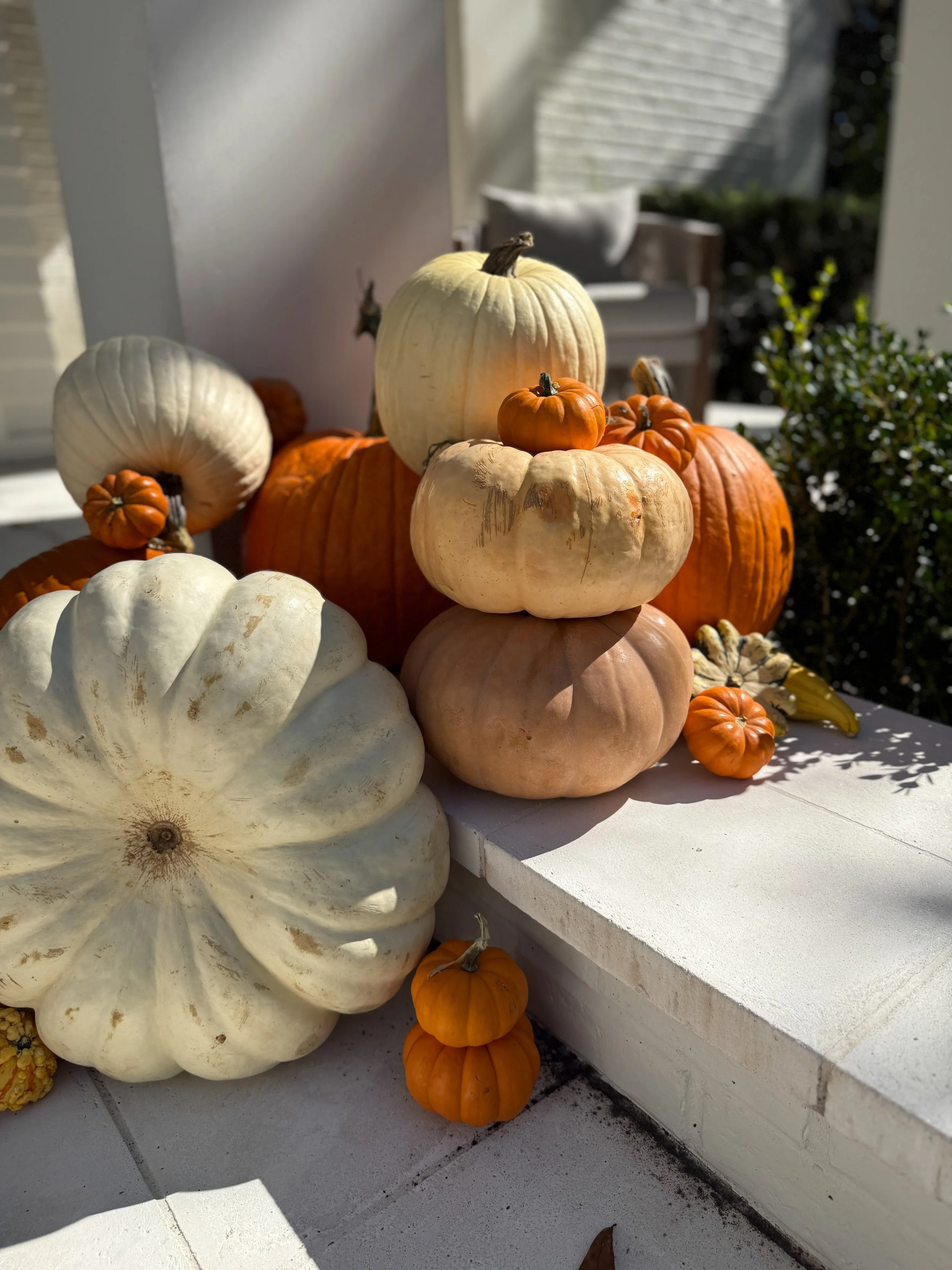 HPC Porch Pumpkins 2026 Season-60.jpg