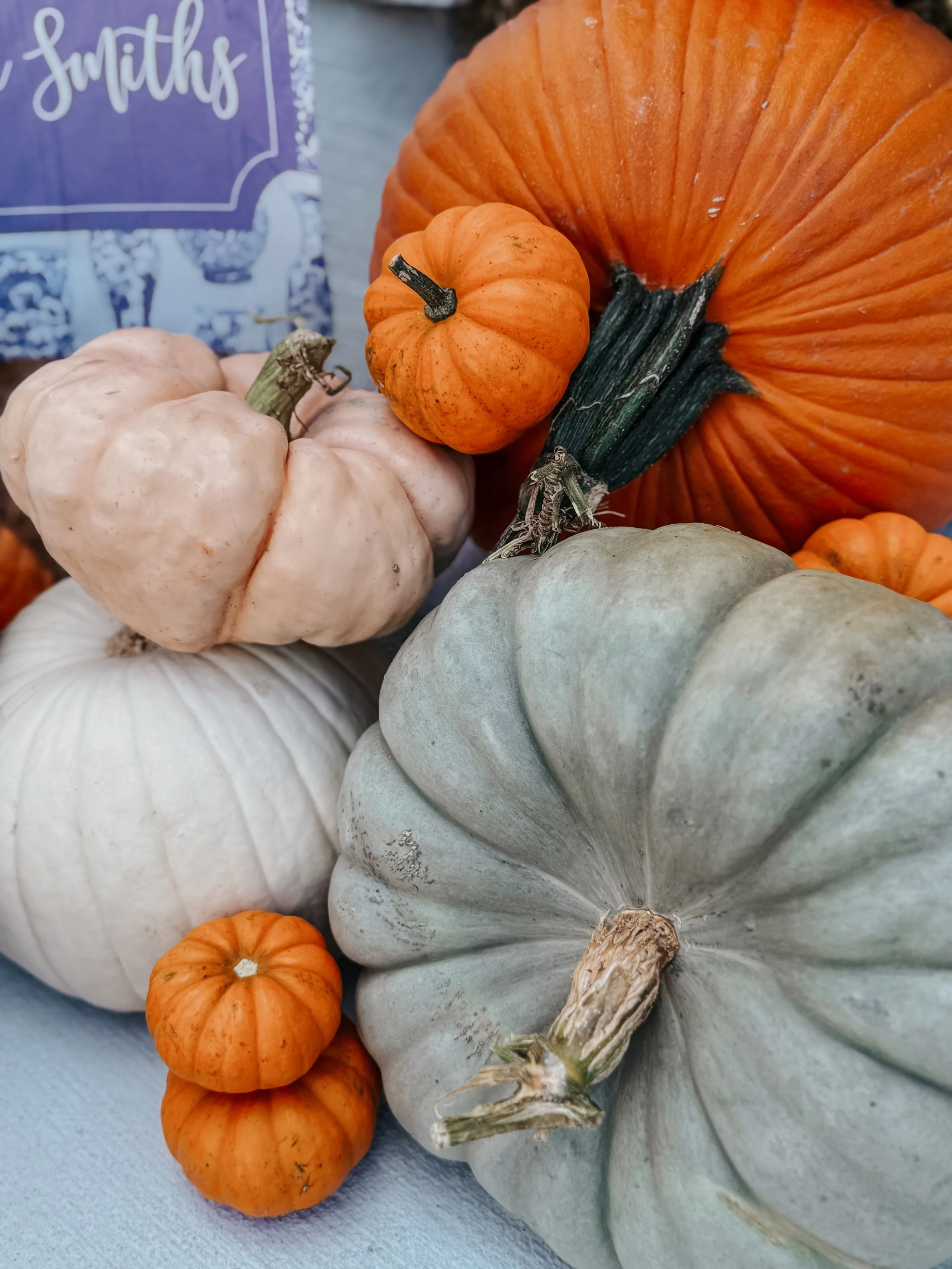 HPC Porch Pumpkins 2026 Season-11.jpg