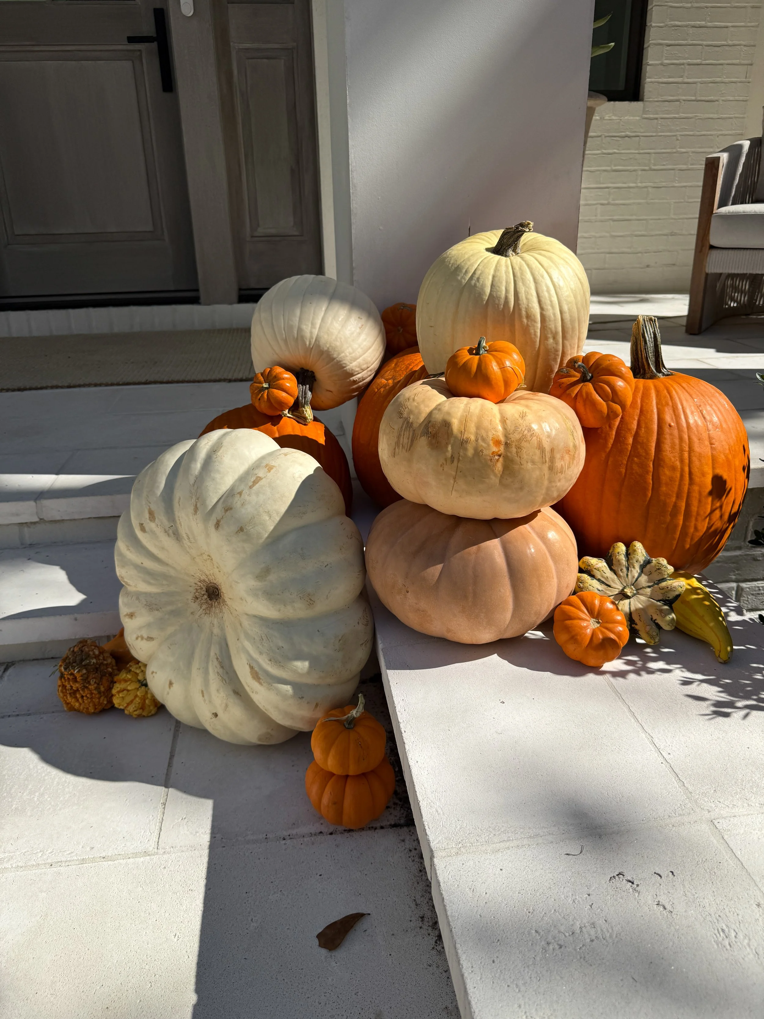 HPC Porch Pumpkins 2026 Season-59.jpg