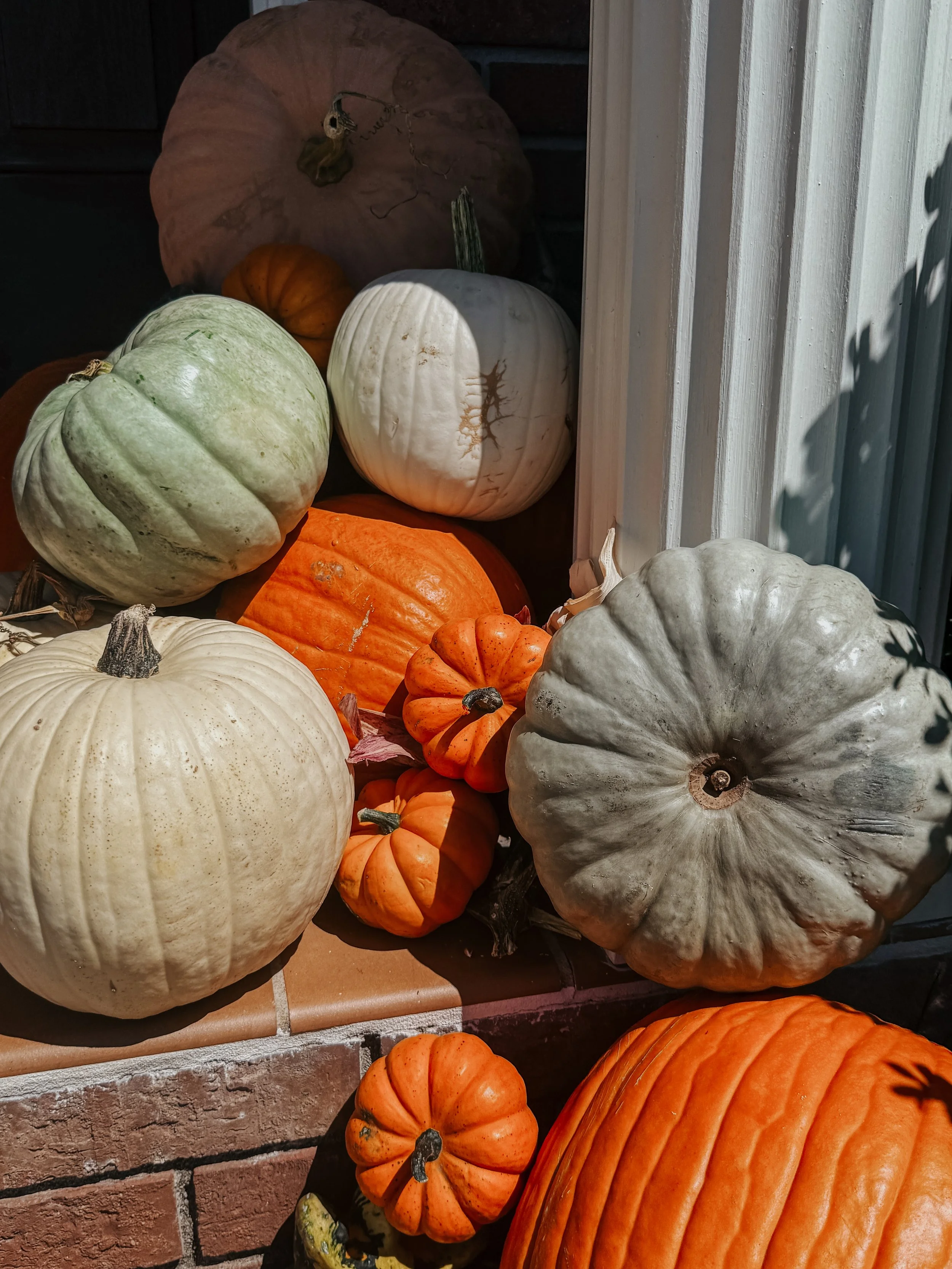 HPC Porch Pumpkins 2026 Season-30.jpg