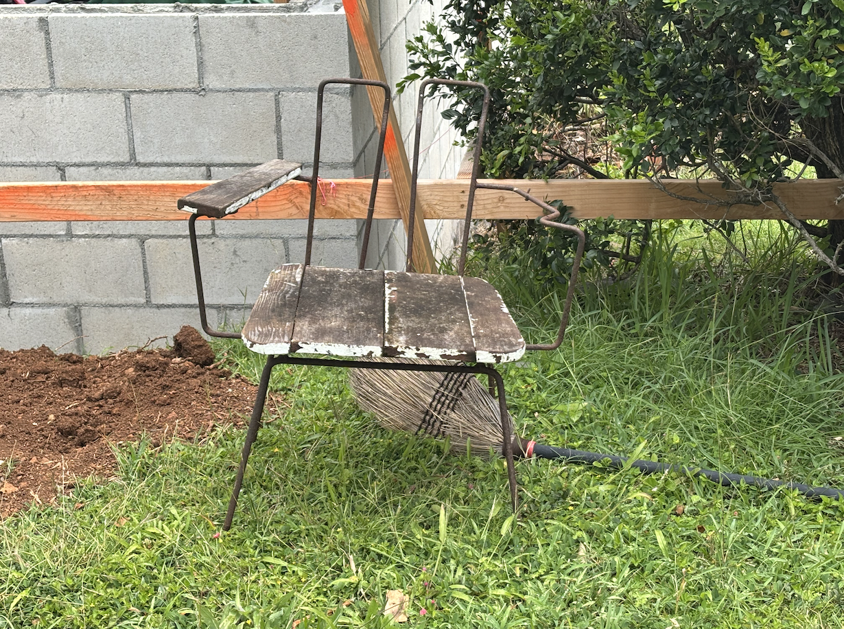 Kinesiology and Somatic Practice