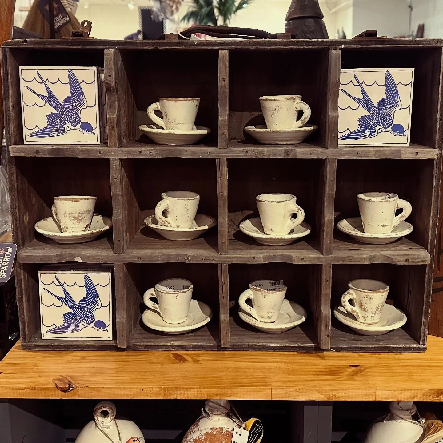 Tiny but mighty! These terracotta espresso cup planters are perfect for succulents or small herbs, adding rustic, timeworn charm to any shelf. A sweet way to bring a touch of green into your space with vintage-inspired style.

How would you use them?