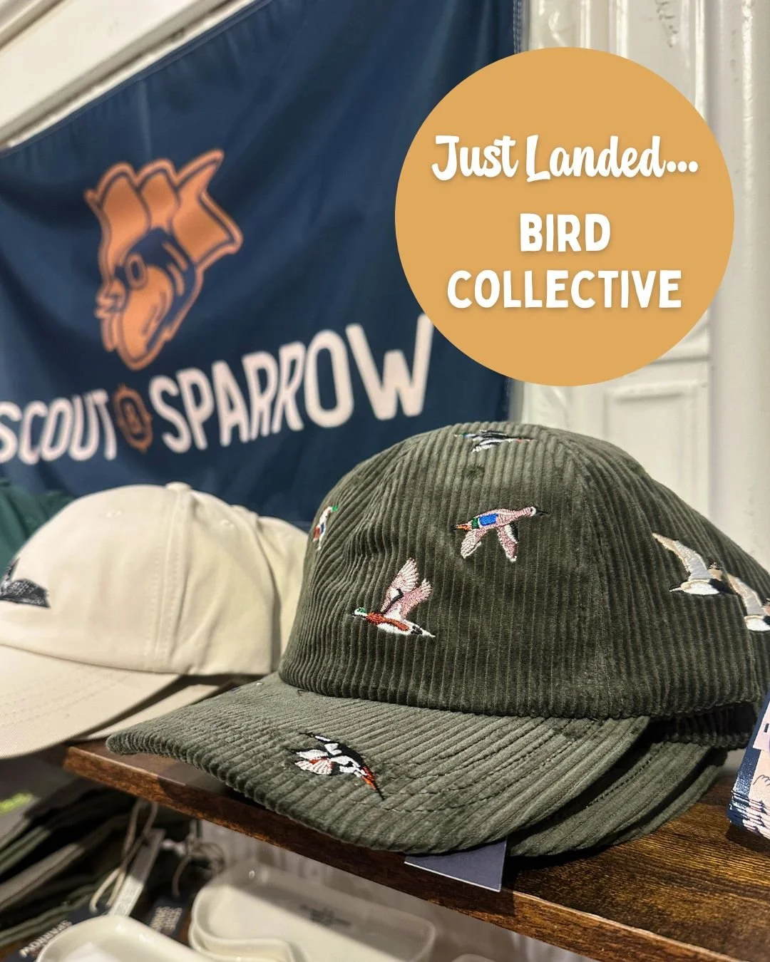 For bird watchers, lake lovers, and weekend wanderers.
Our newest embroidered hats have arrived, inspired by some of our favorite birds. Whether you are heading out on the water, hitting the trail, or just enjoying a laid-back weekend, these hats bri