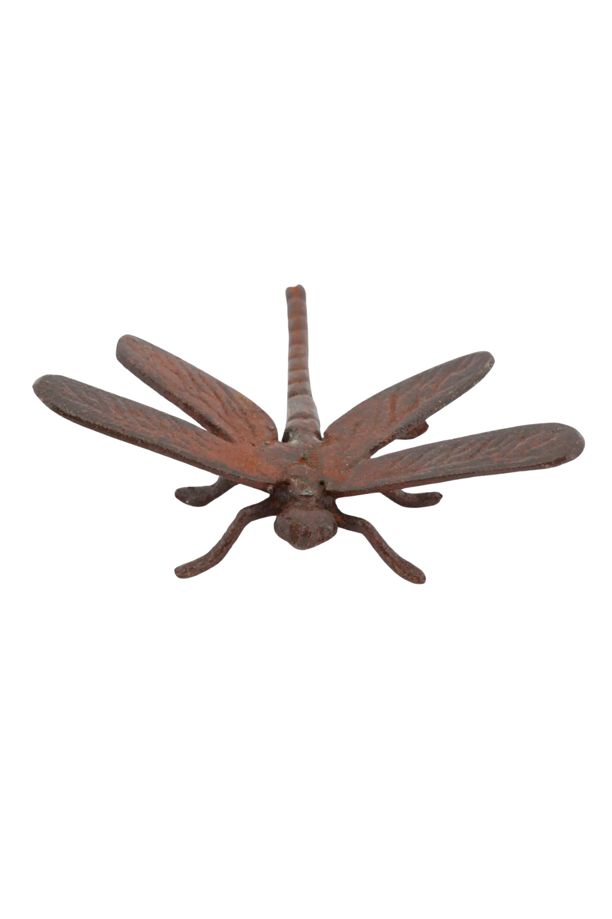 Cast Iron Dragonfly