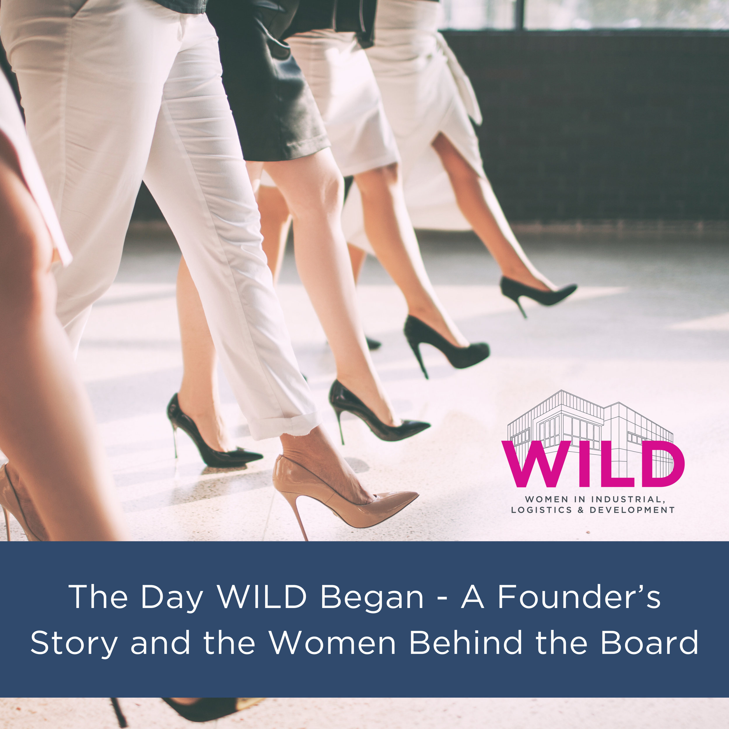 The Day WILD Began — A Founder’s Story