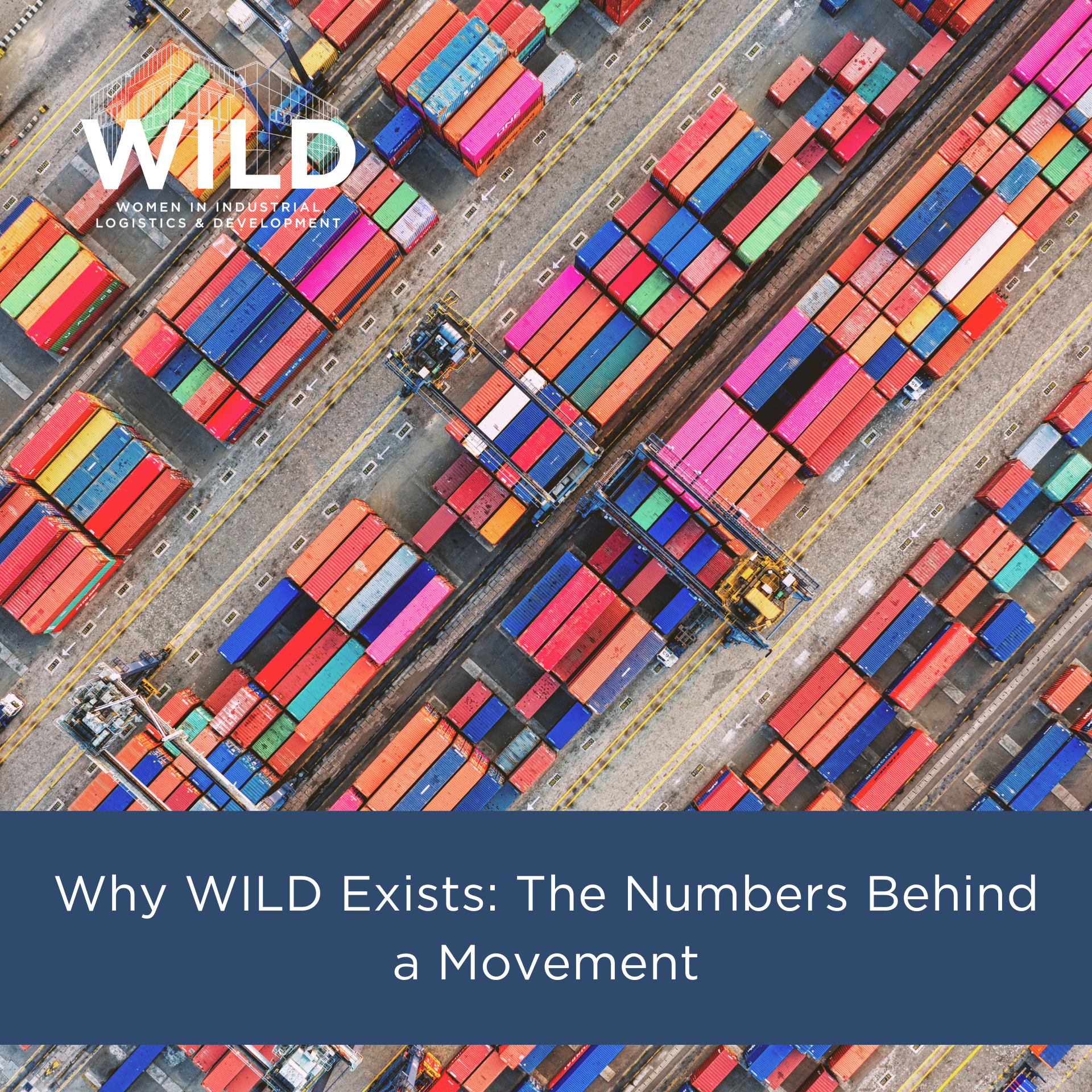 Why WILD Exists: The Numbers Behind a Movement