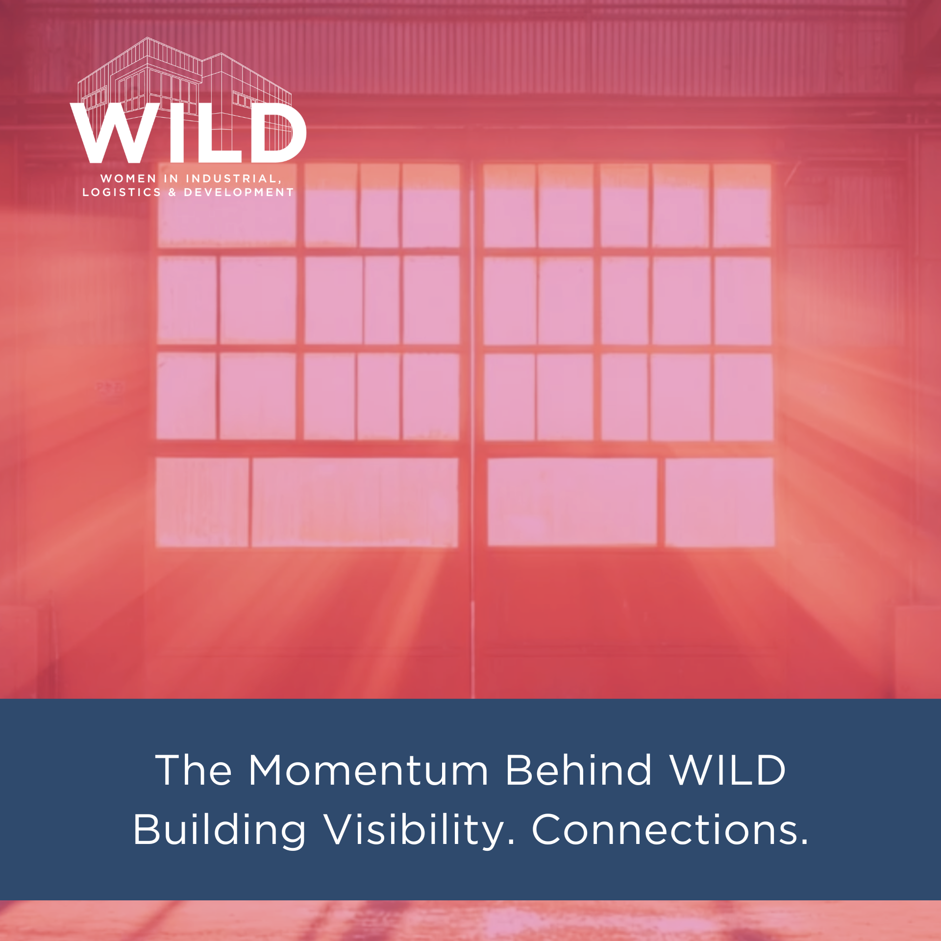 The Momentum Behind WILD.