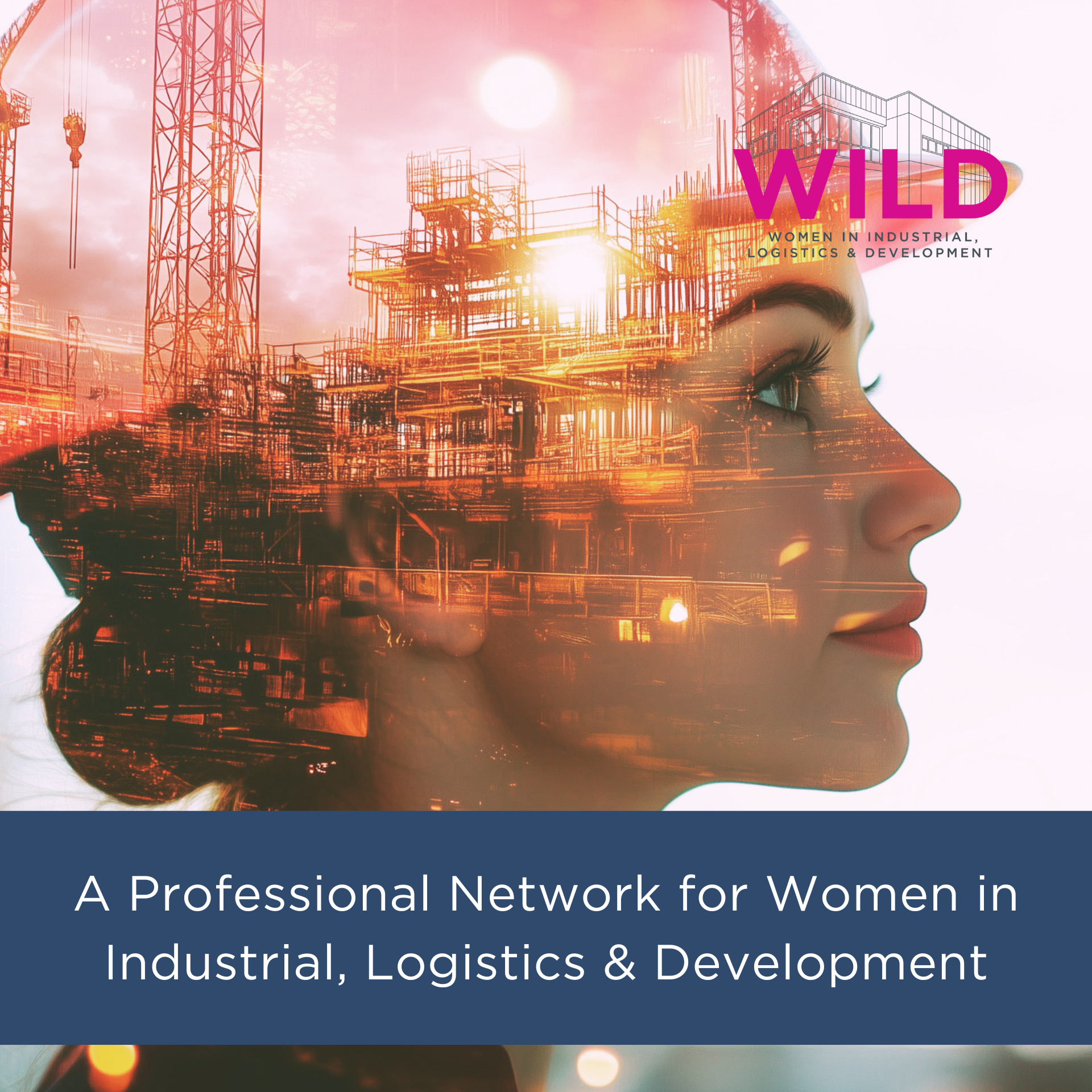 professional-network-women-industrial-logistics-development-wild.png