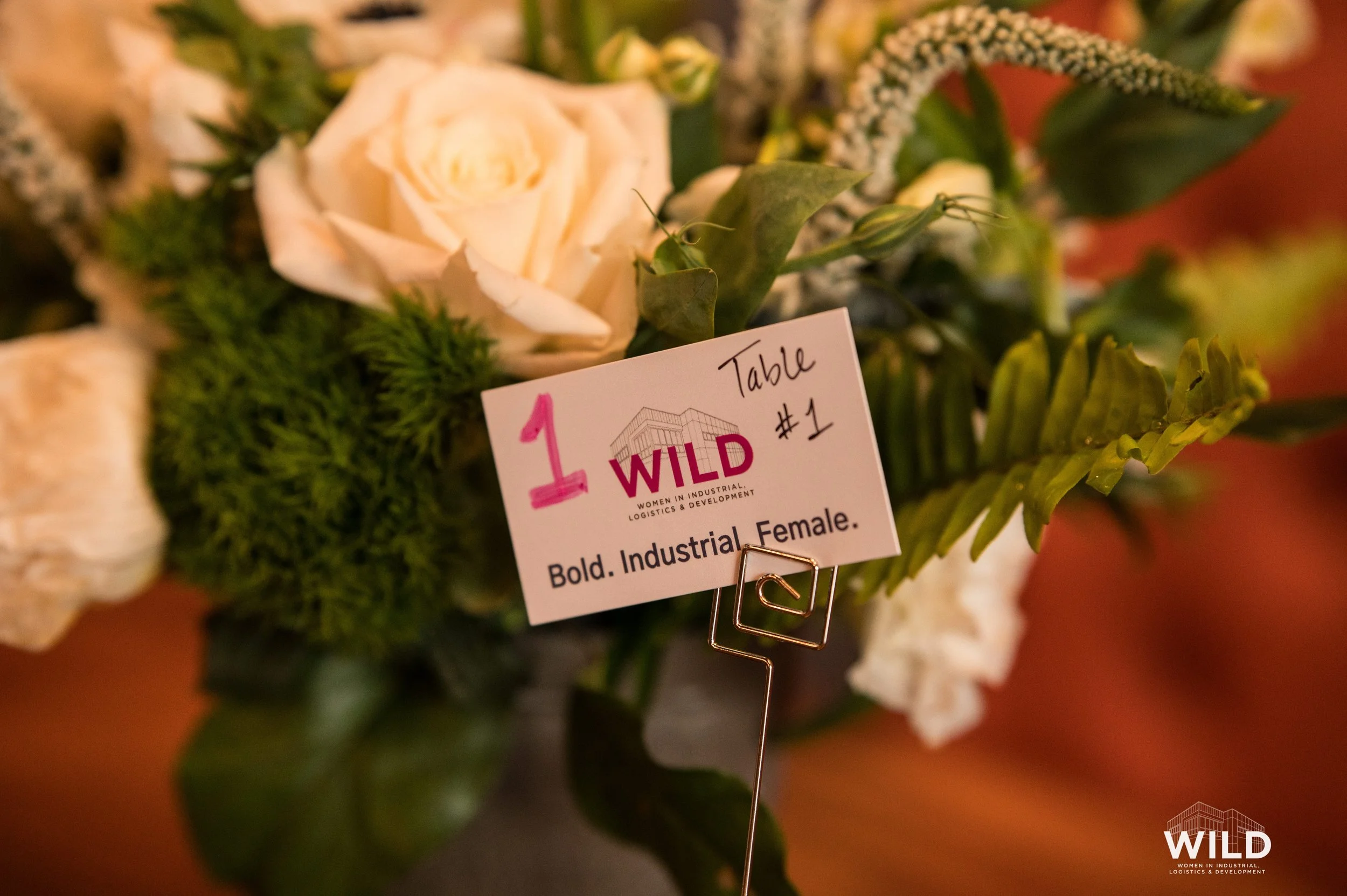 WILD-WILDcard-Member-Dinner-2026 (97).jpg