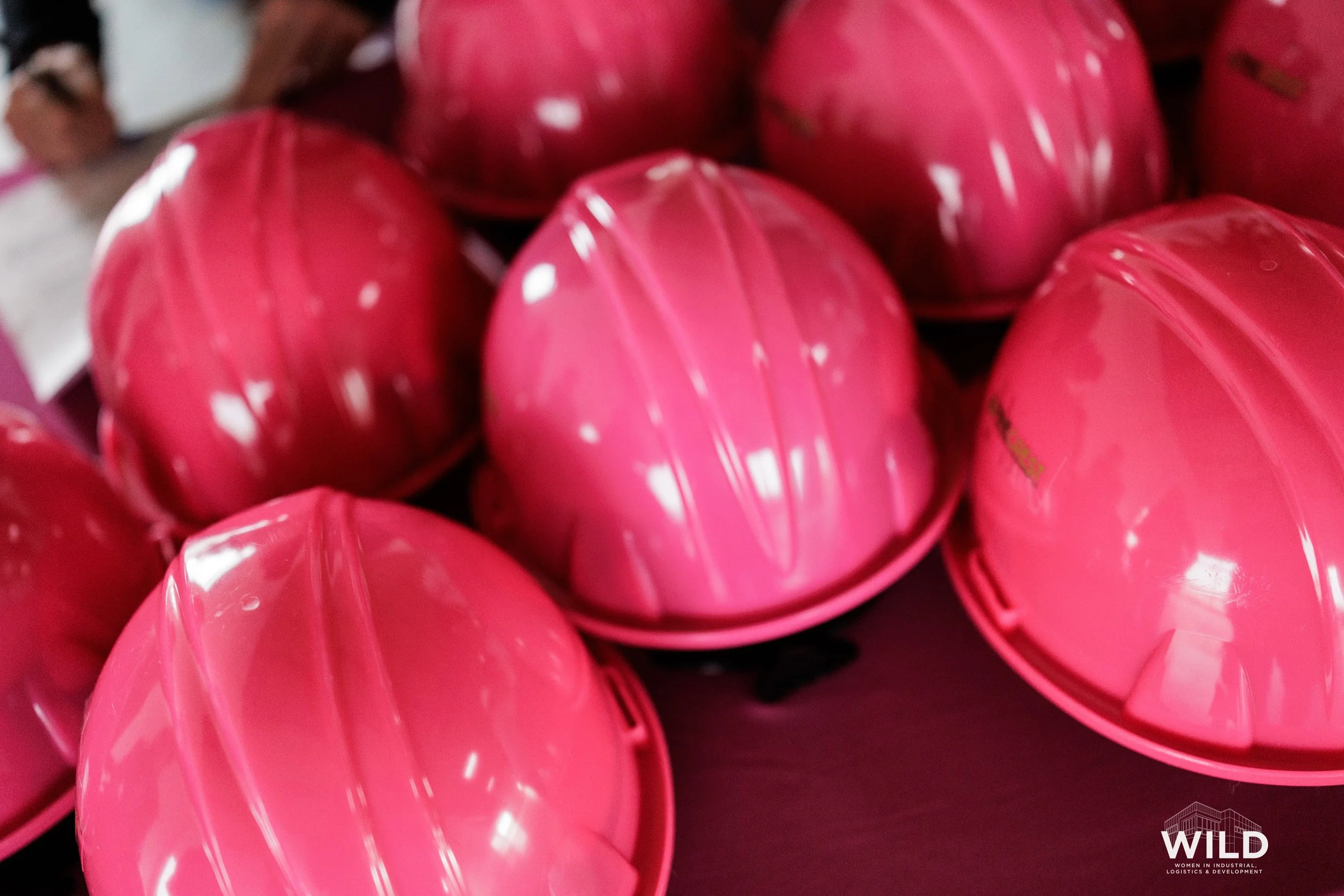Hard-Hats-Headshots-2026-WILD (1).jpg