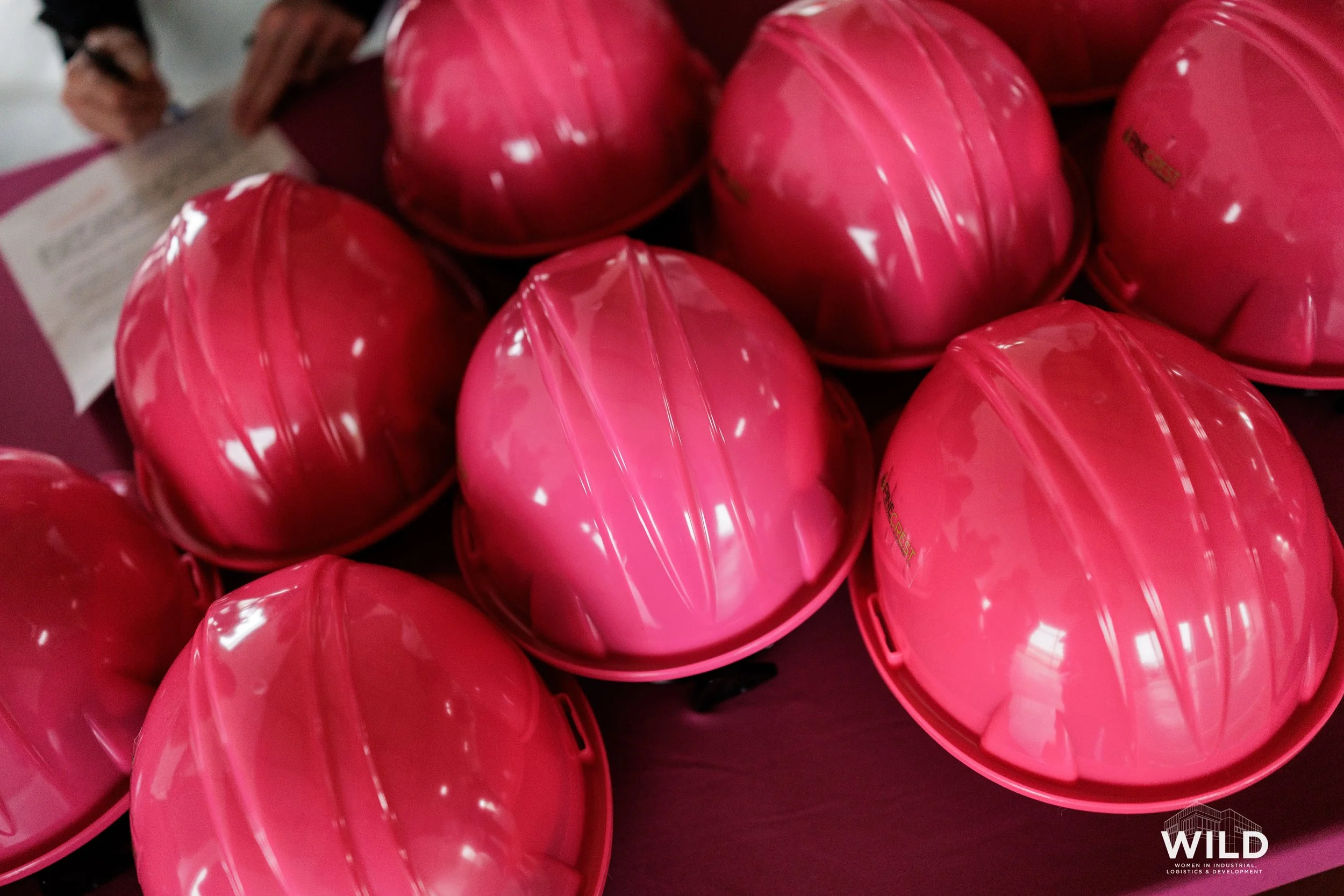 Hard-Hats-Headshots-2026-WILD (54).jpg