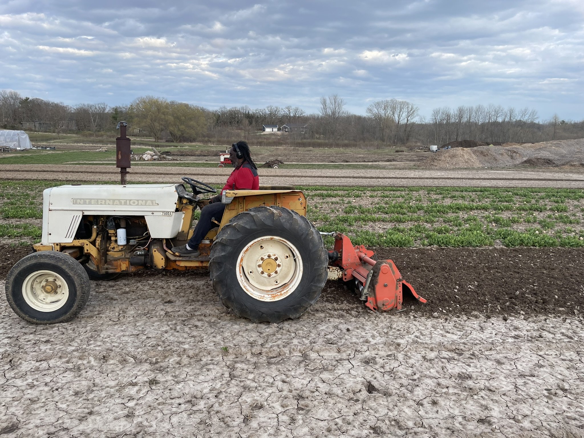Robert Tilling Crop Field 2024