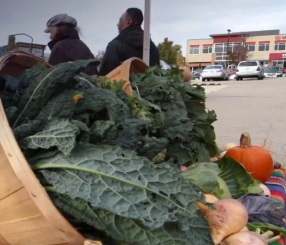 PBS - WI Homegrown Farmer (2016)