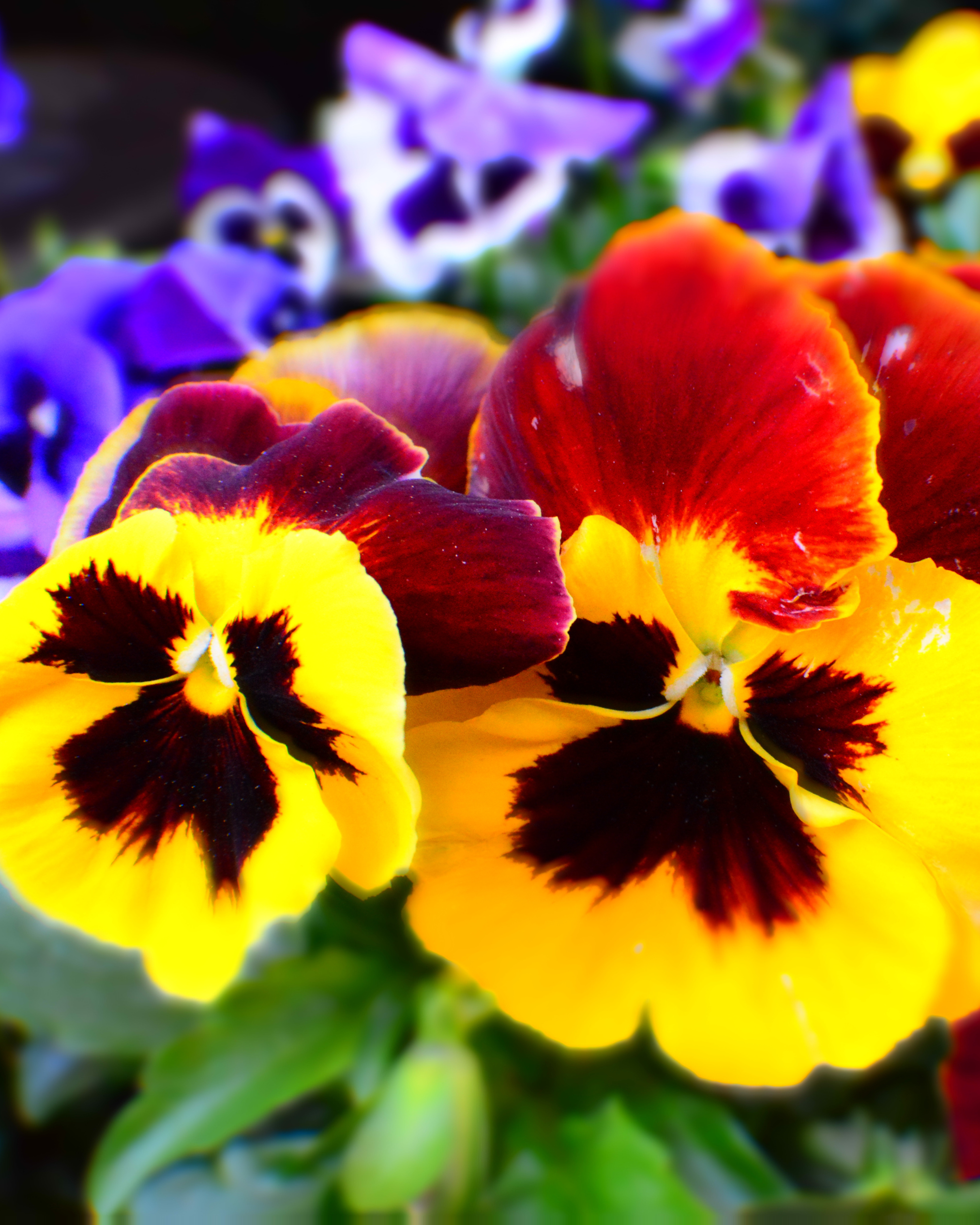 Instagram Photos to Post.PNG