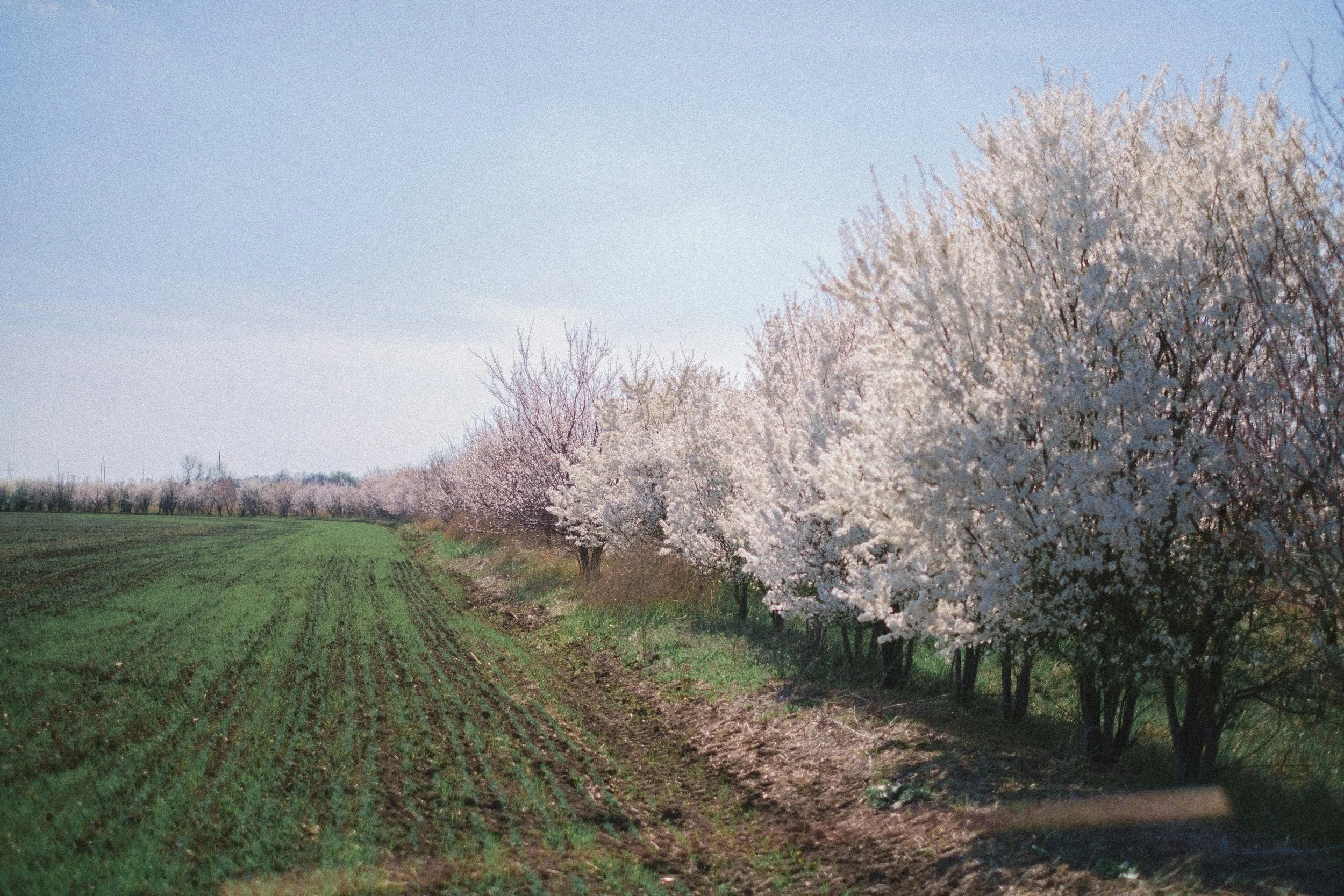 You Were Misled About Carbon Credits. Here's How to Turn That into a Competitive Advantage.