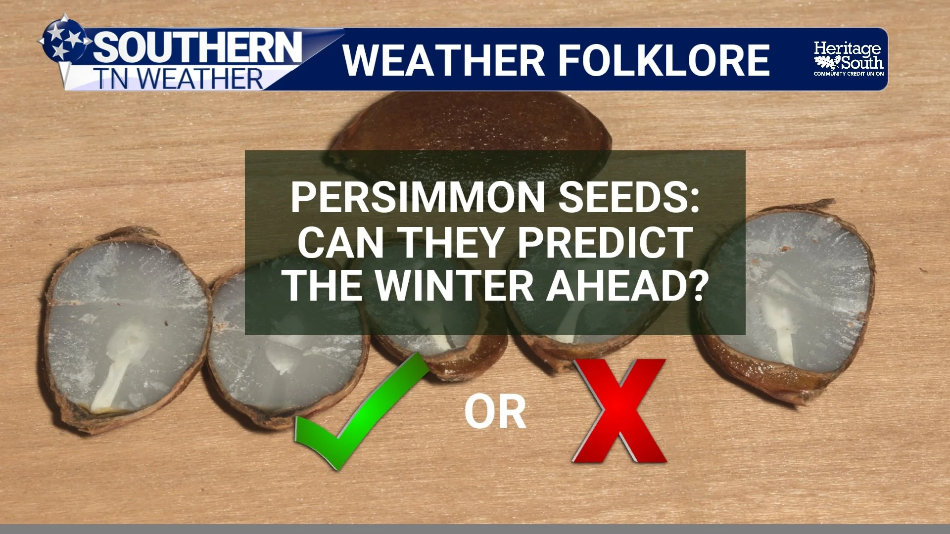 Weather Folklore: Can a Persimmon Seed Predict Winter?