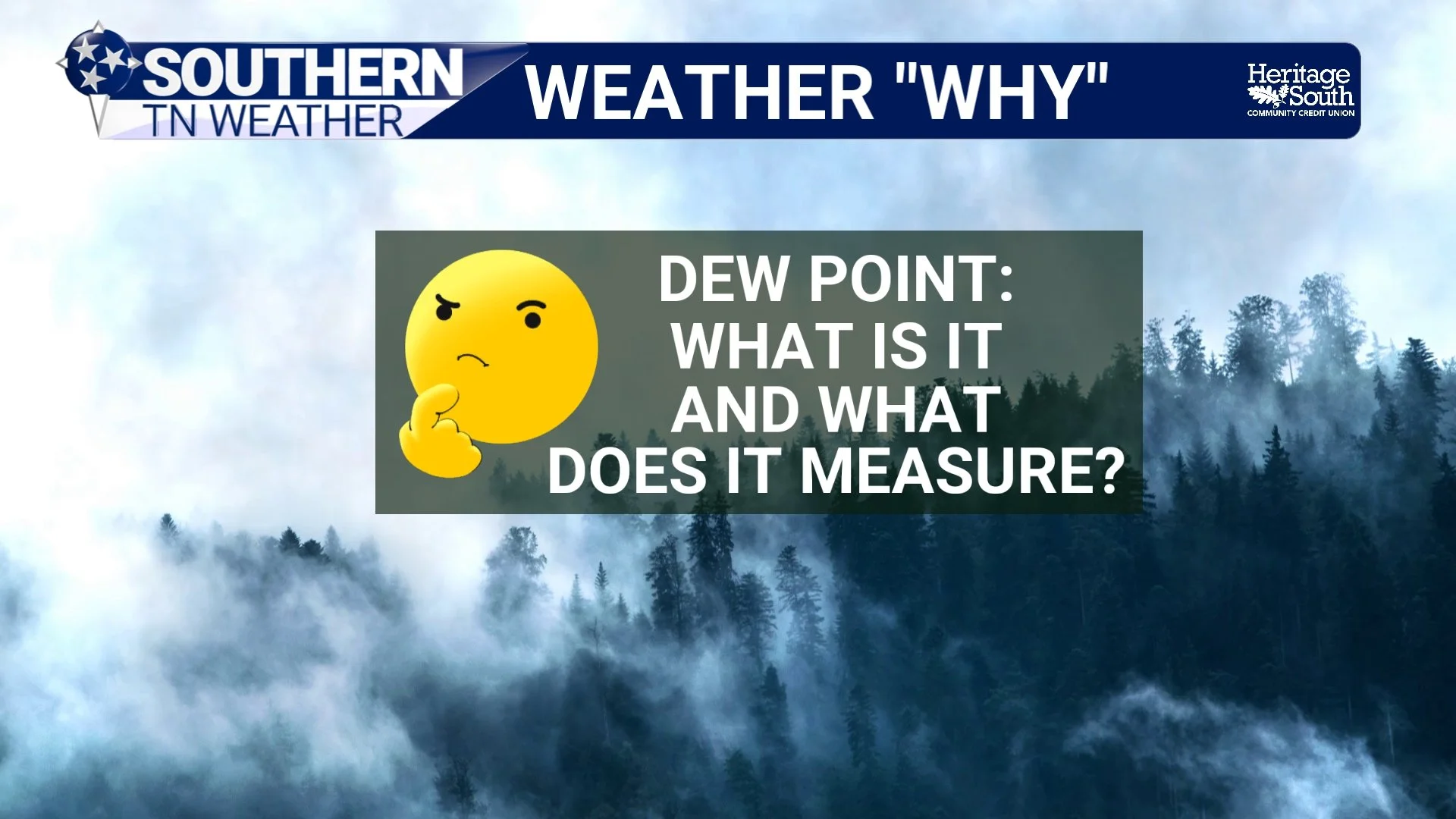 Dew Point: What Actually Is It and Why Do We Use It?