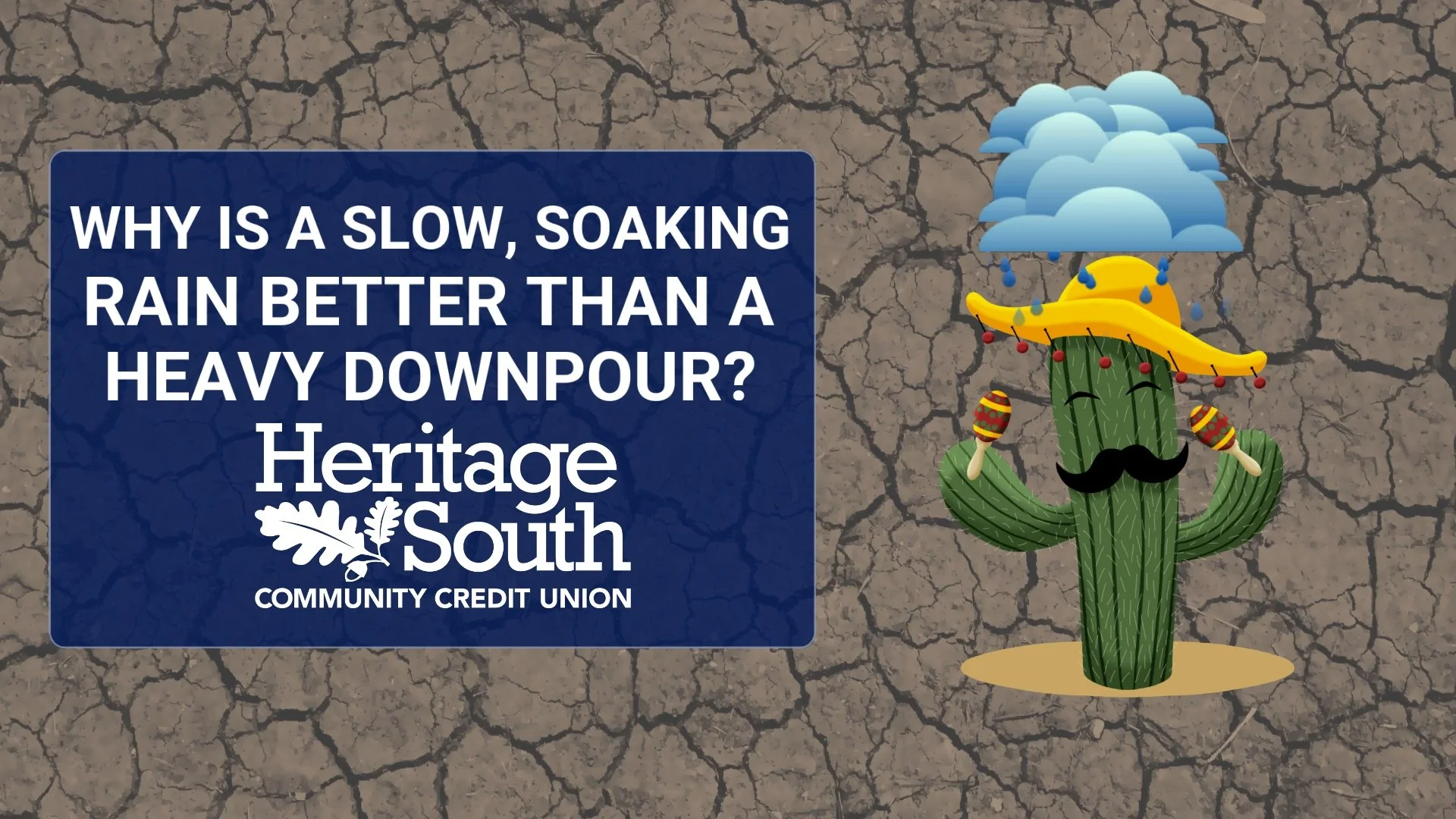 Why Is a Slow, Soaking Rain Better Than a Quick Downpour During a Drought?