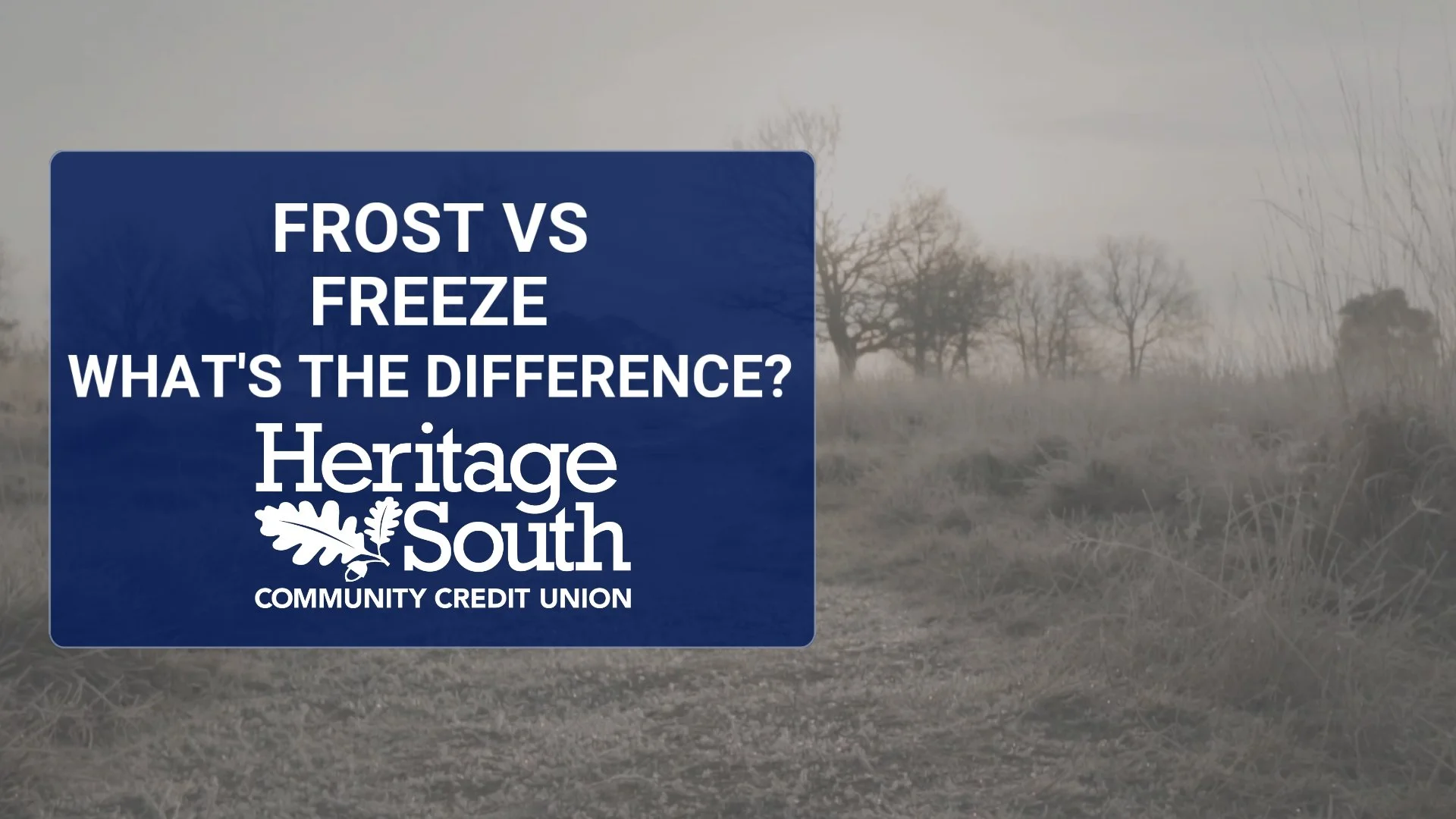 Frost vs. Freeze: What's the Difference, and When Should We Start Paying Attention?