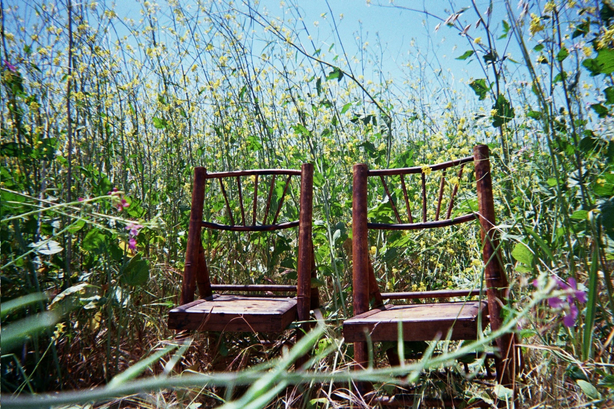 0_0030copy.jpg