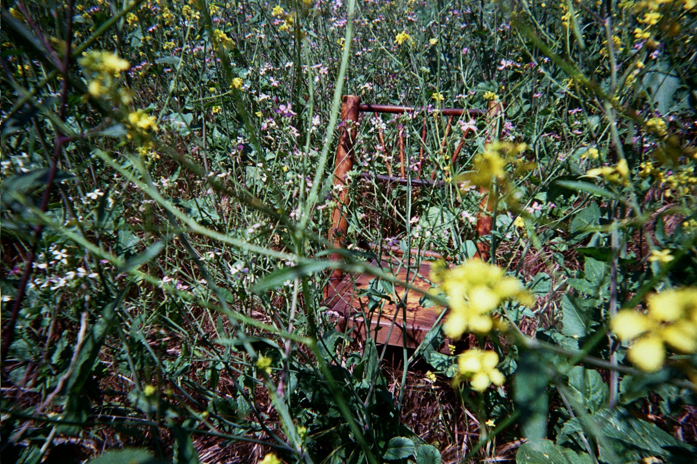 7_0037copy.jpg