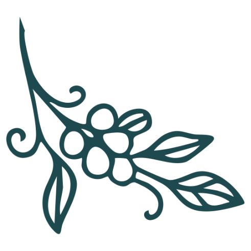 Carmela's Collective vintage decorative floral illustration with coffee berries.