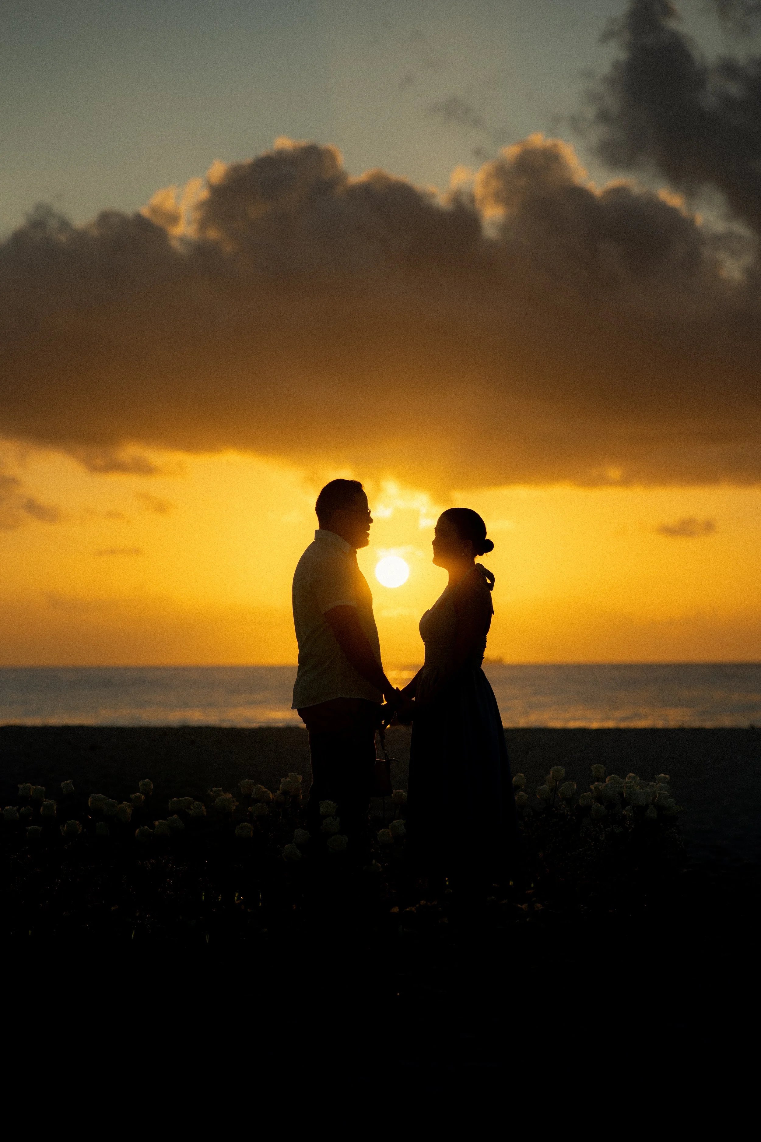 Wedding / Engagement Photography