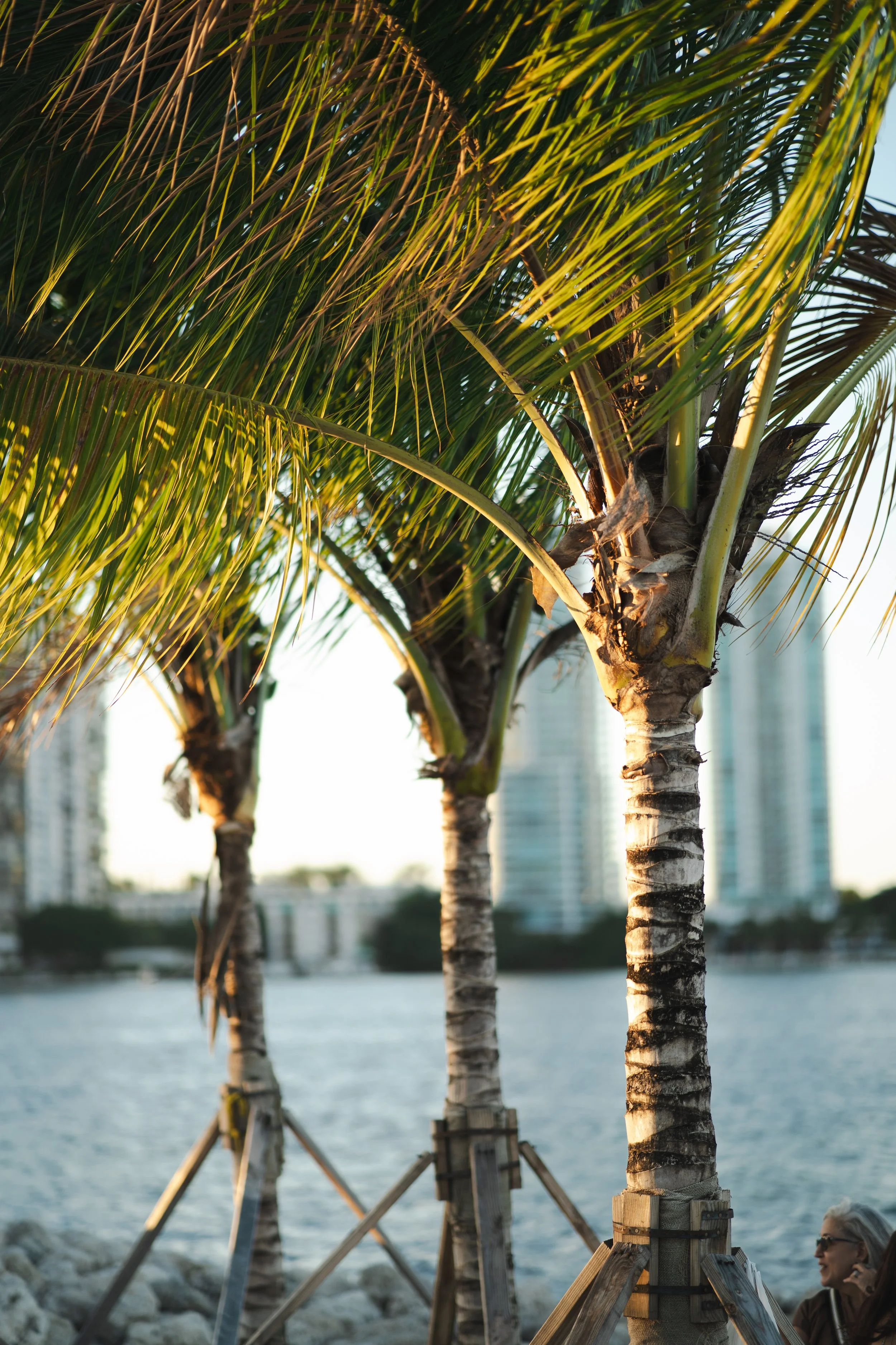 Portrait/Family Photography