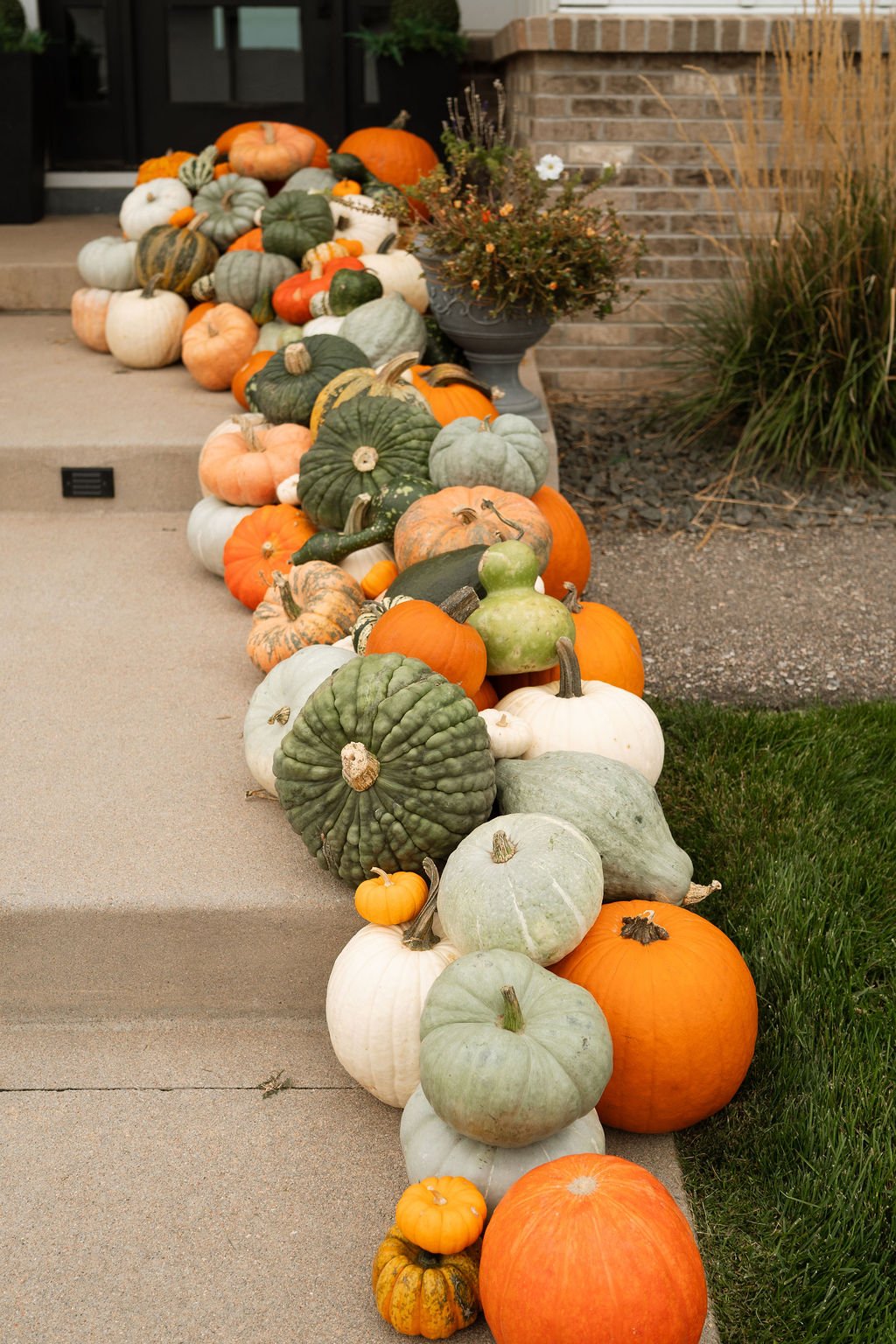 Pumpkins_Katie-1.jpg