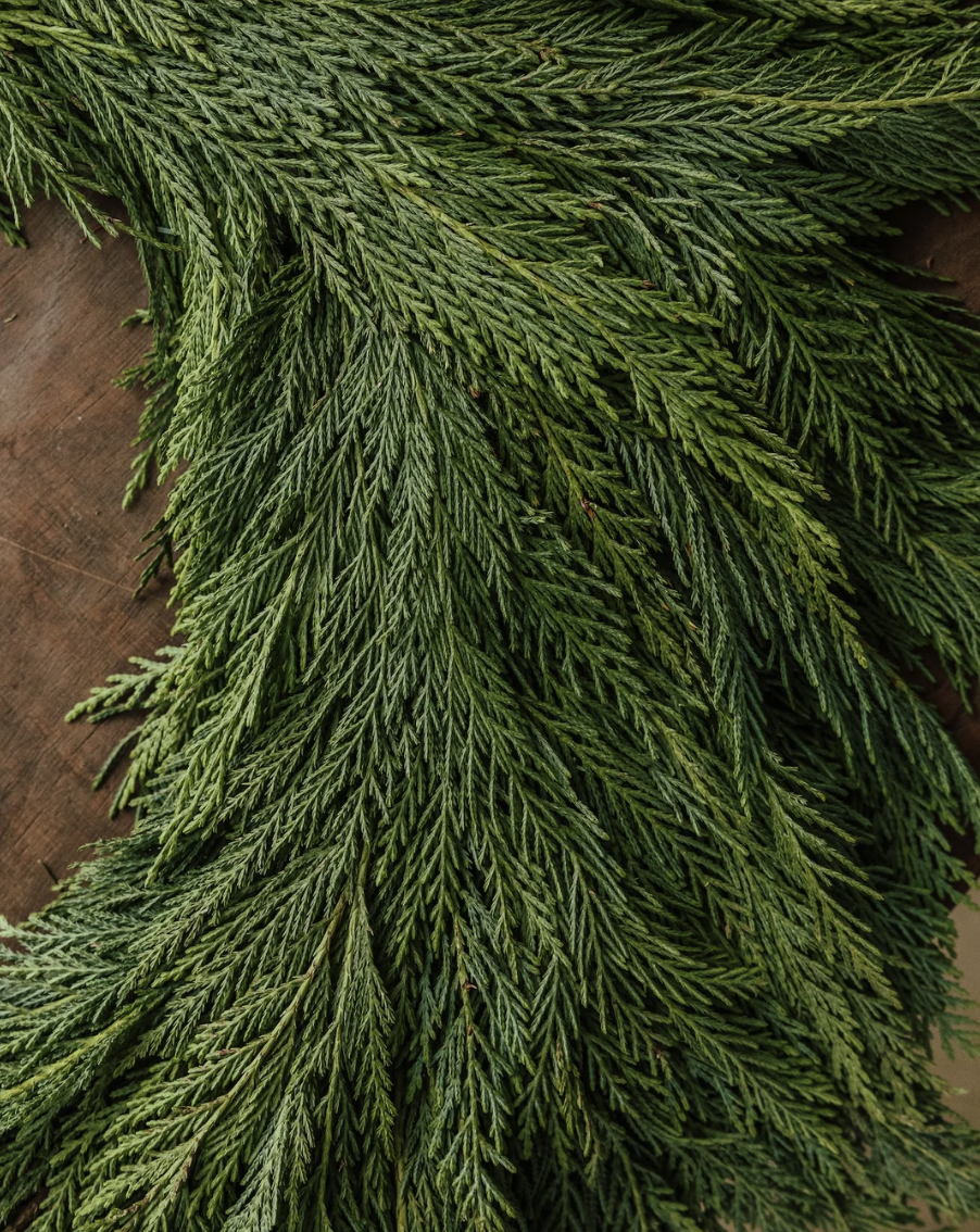 Screenshot 2025-11-03 at 12.38.58 AM.png