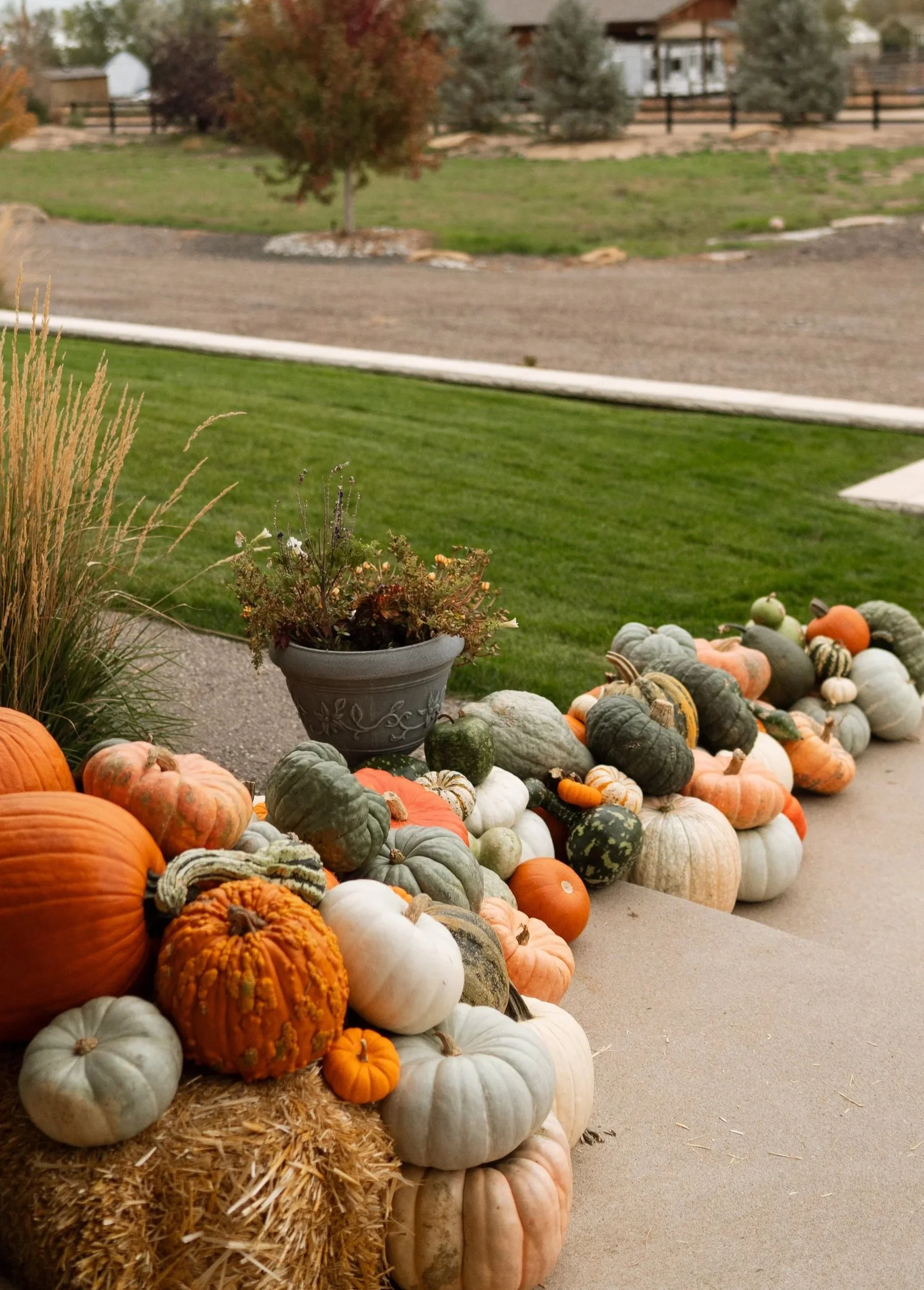 Porch pumpkins layered on an exterior entryway, decorating the porch for fall decor.