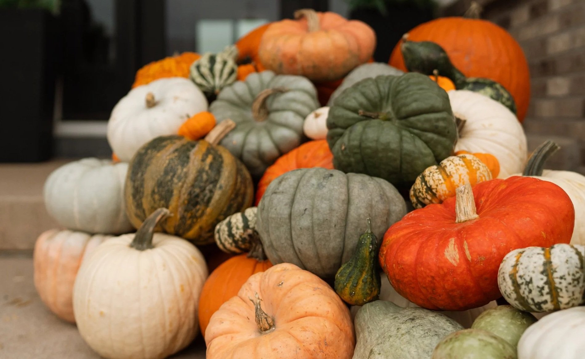 Porch pumpkins delivered and styled for fall in Colorado. Professional fall porch decorator and stylist.