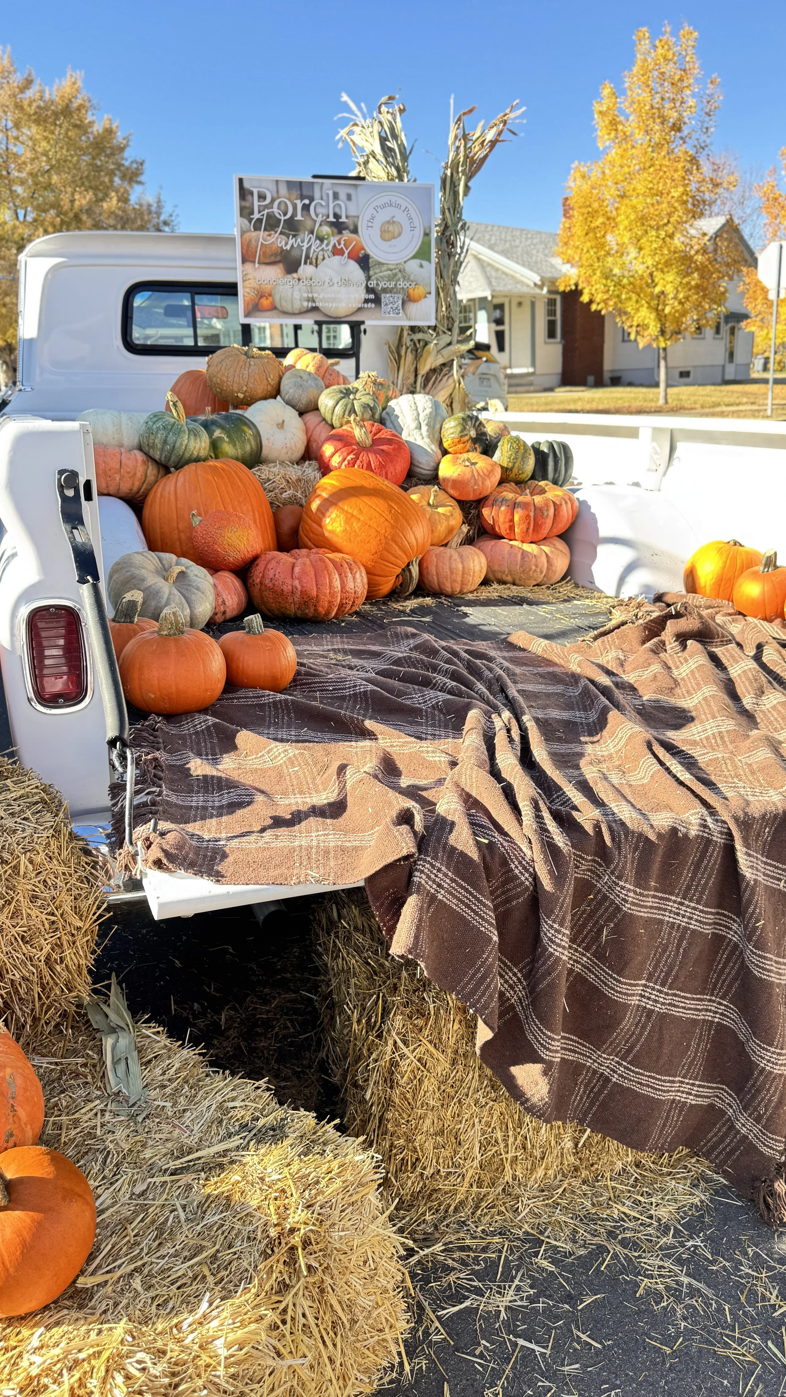 A display of various pumpkins and gourds in the back of a truck at an outdoor fall market, with hay bales and a fall scenery background.