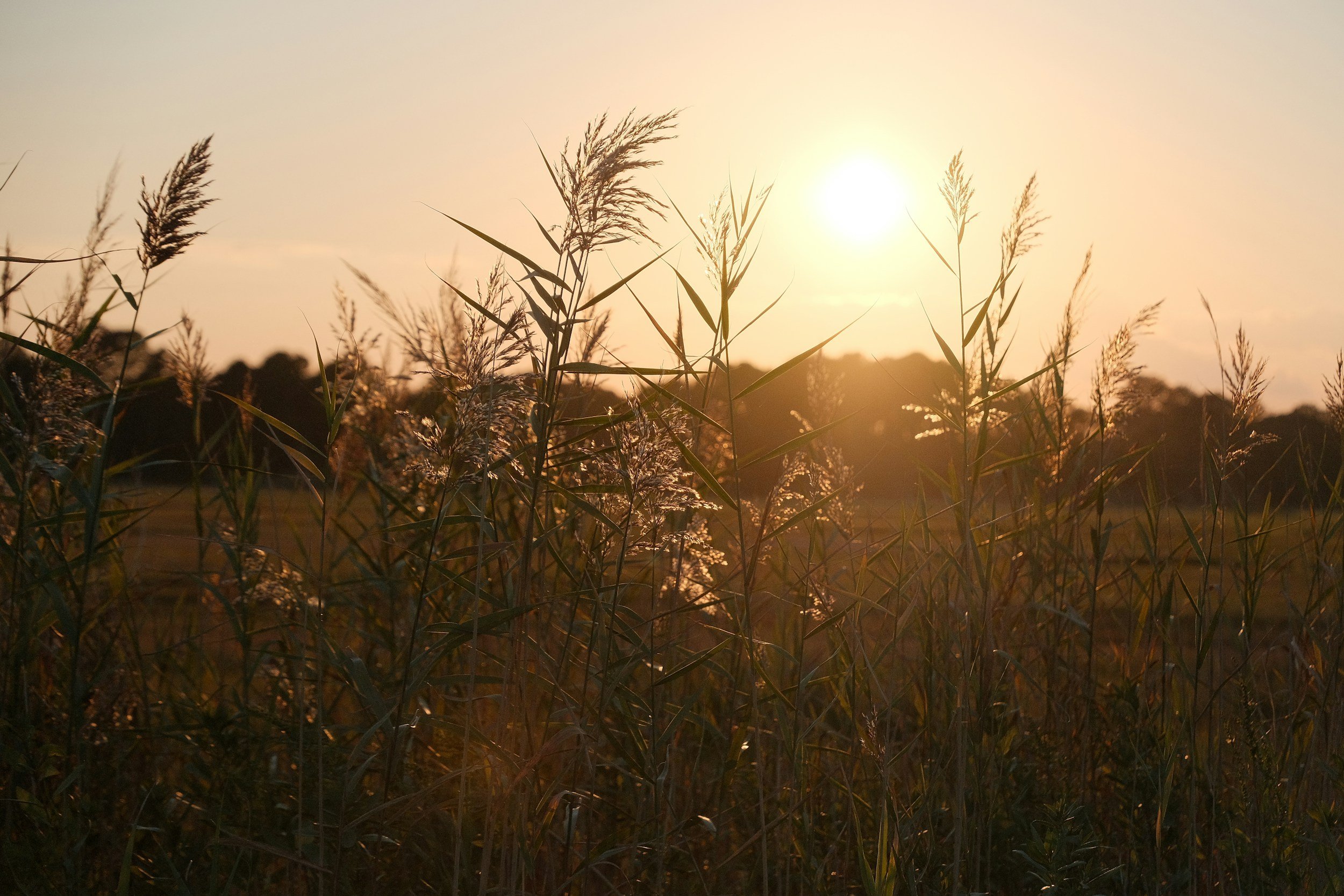 Energy Regulation for Empaths and Highly Sensitive People