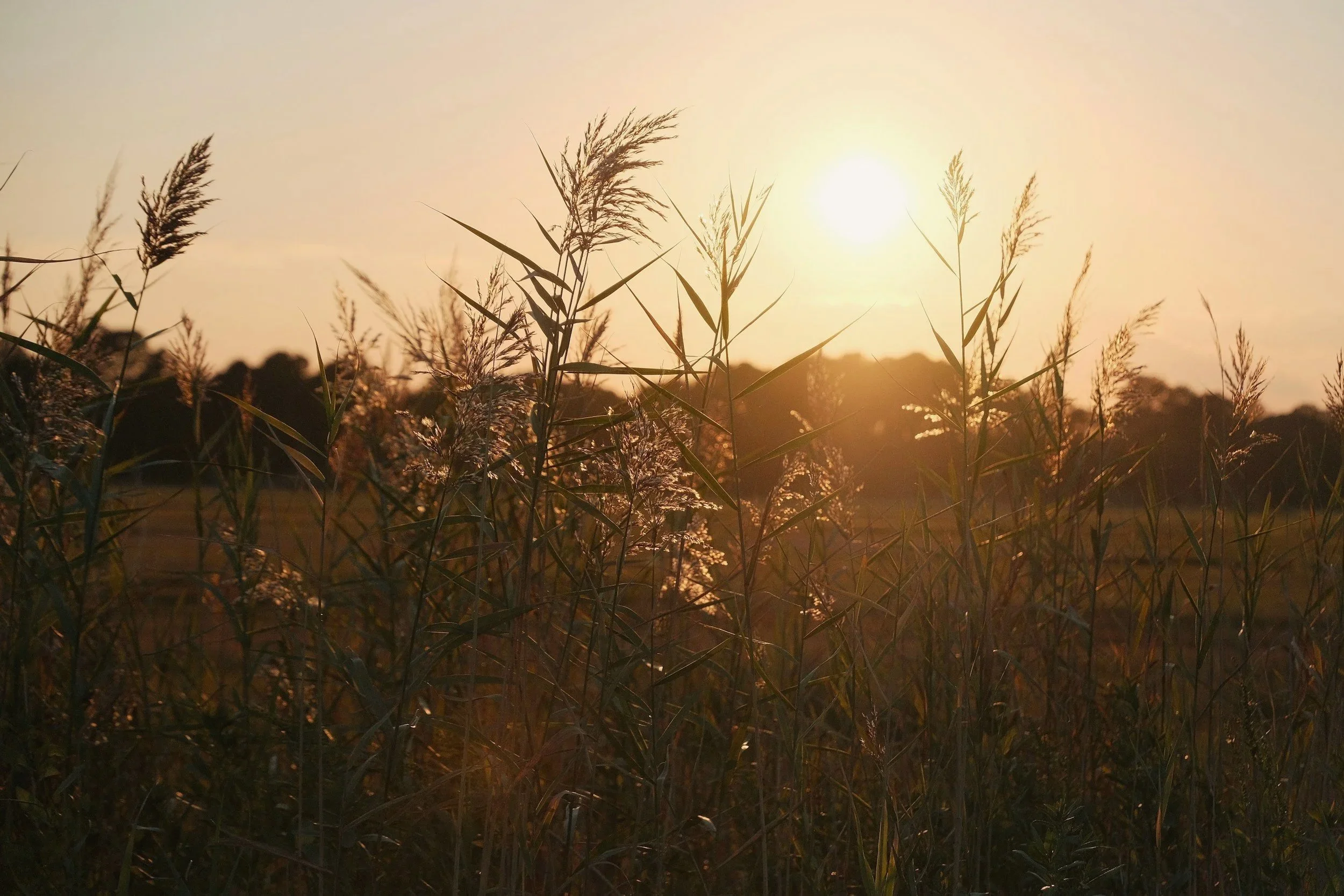 Energy Regulation for Empaths and Highly Sensitive People